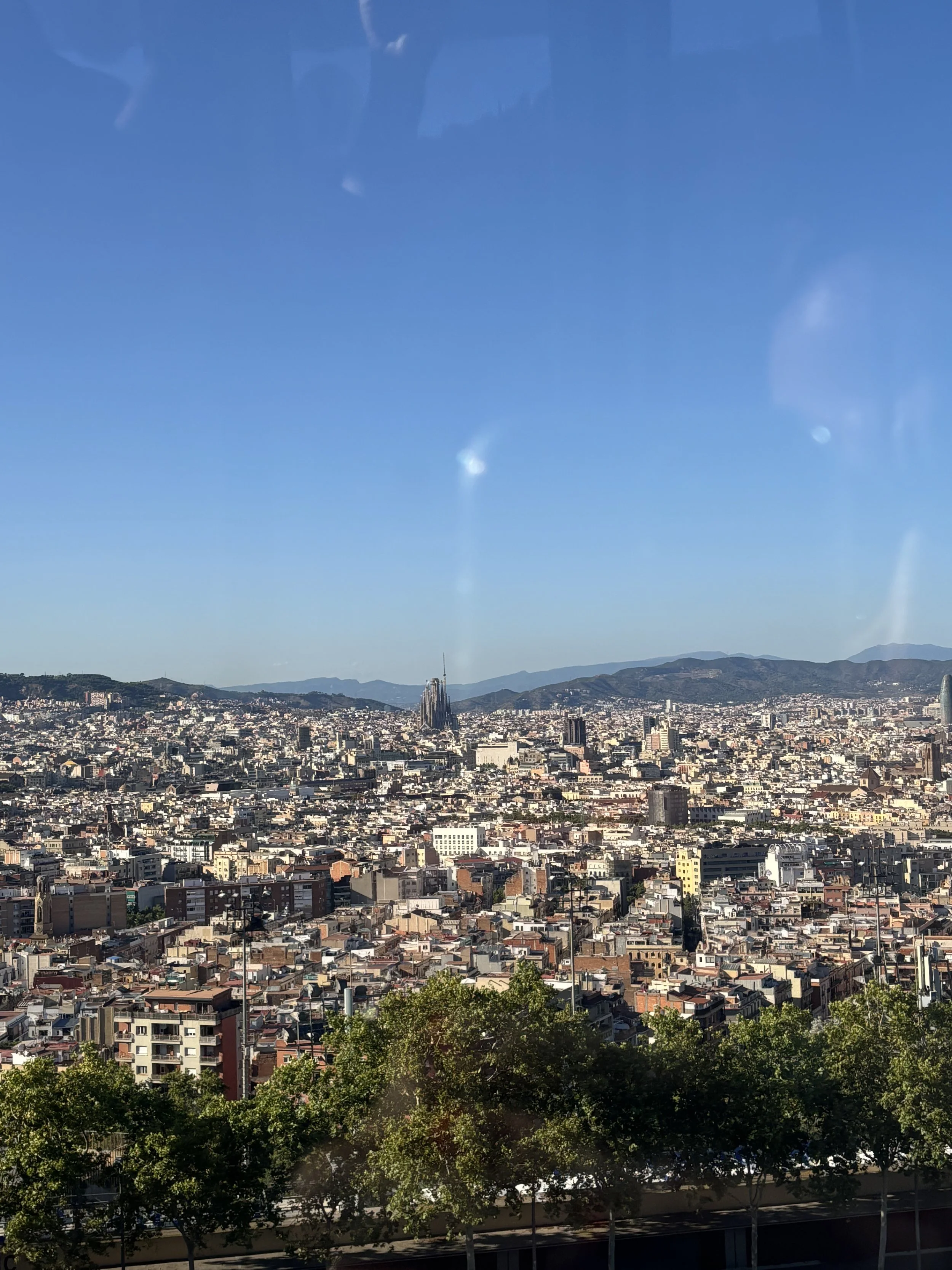 IMG_9741.jpeg