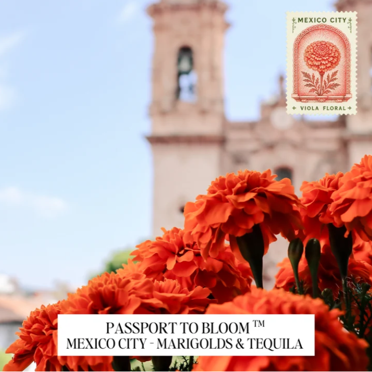 Passport To Bloom-Mexico City