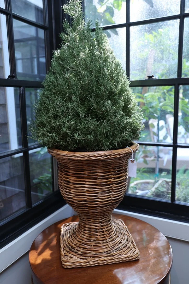 C8C690DB-F6A7-47E9-9DC1-BB024FA154A5_1_105_c.jpeg