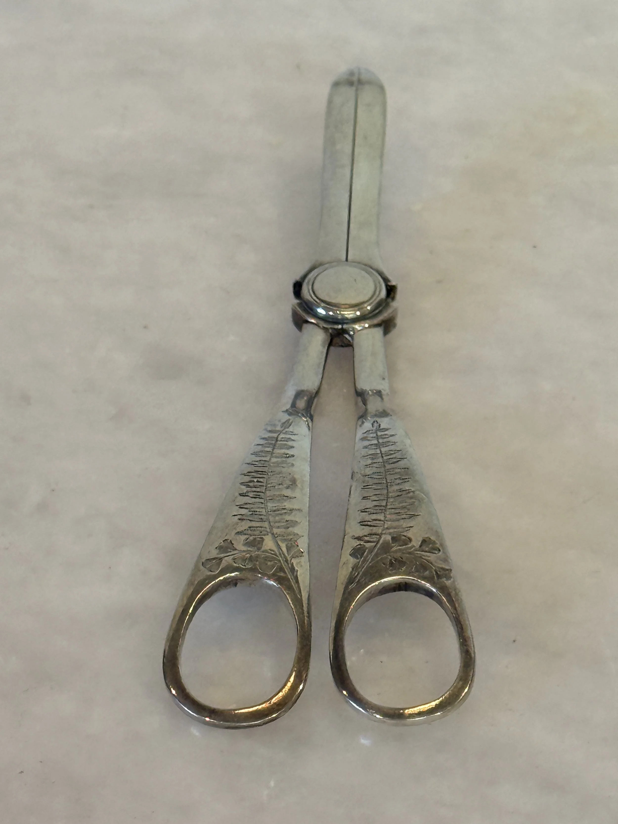 Engraved Grape Shears made in England