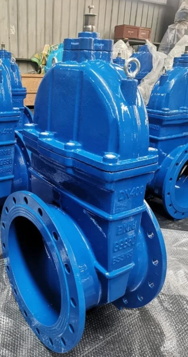 CIDF Sluice Valves: Why Flange Ratings Matter in High-Head Regional Water Schemes