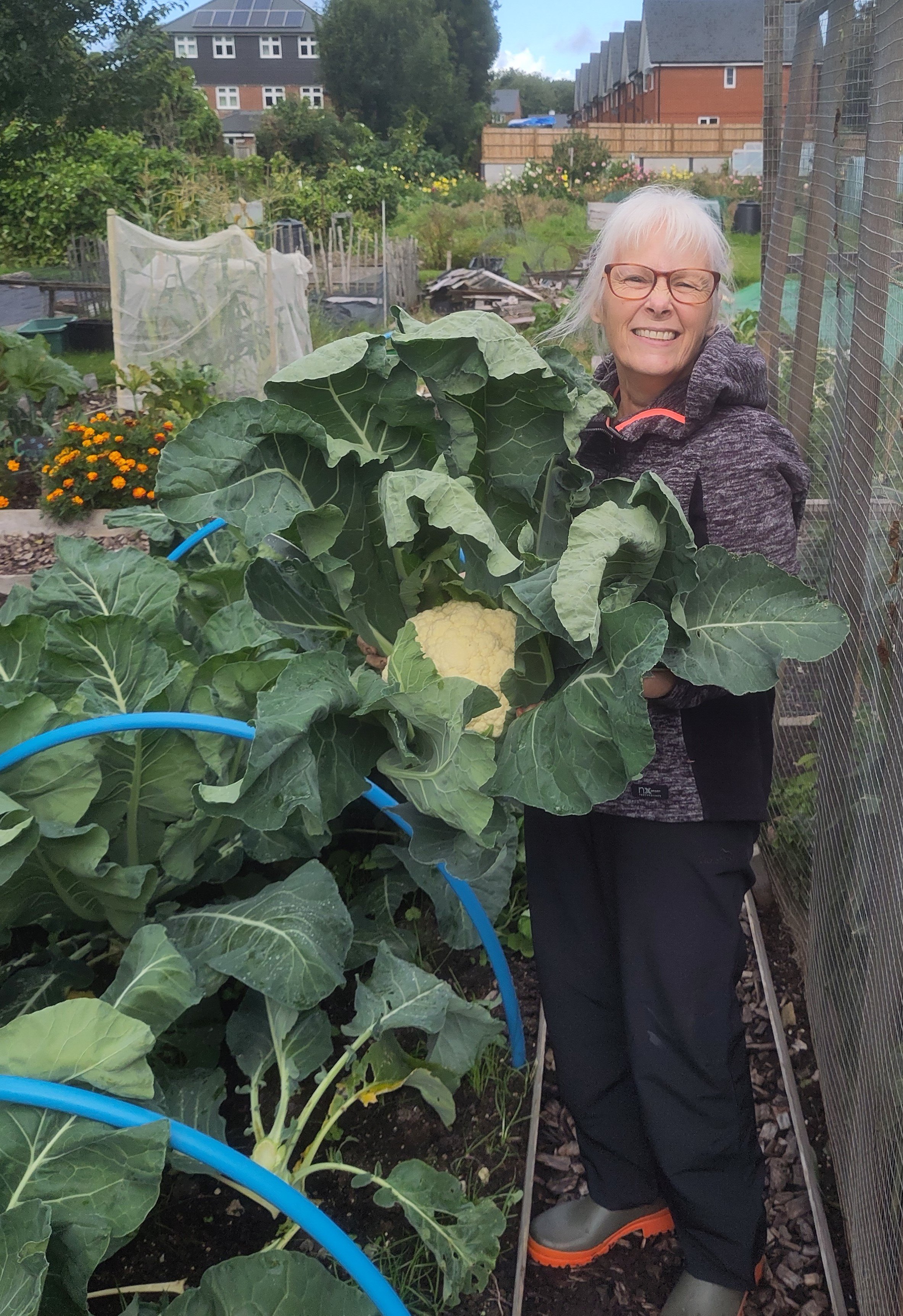 GTB_Cauliflower cropped.jpg