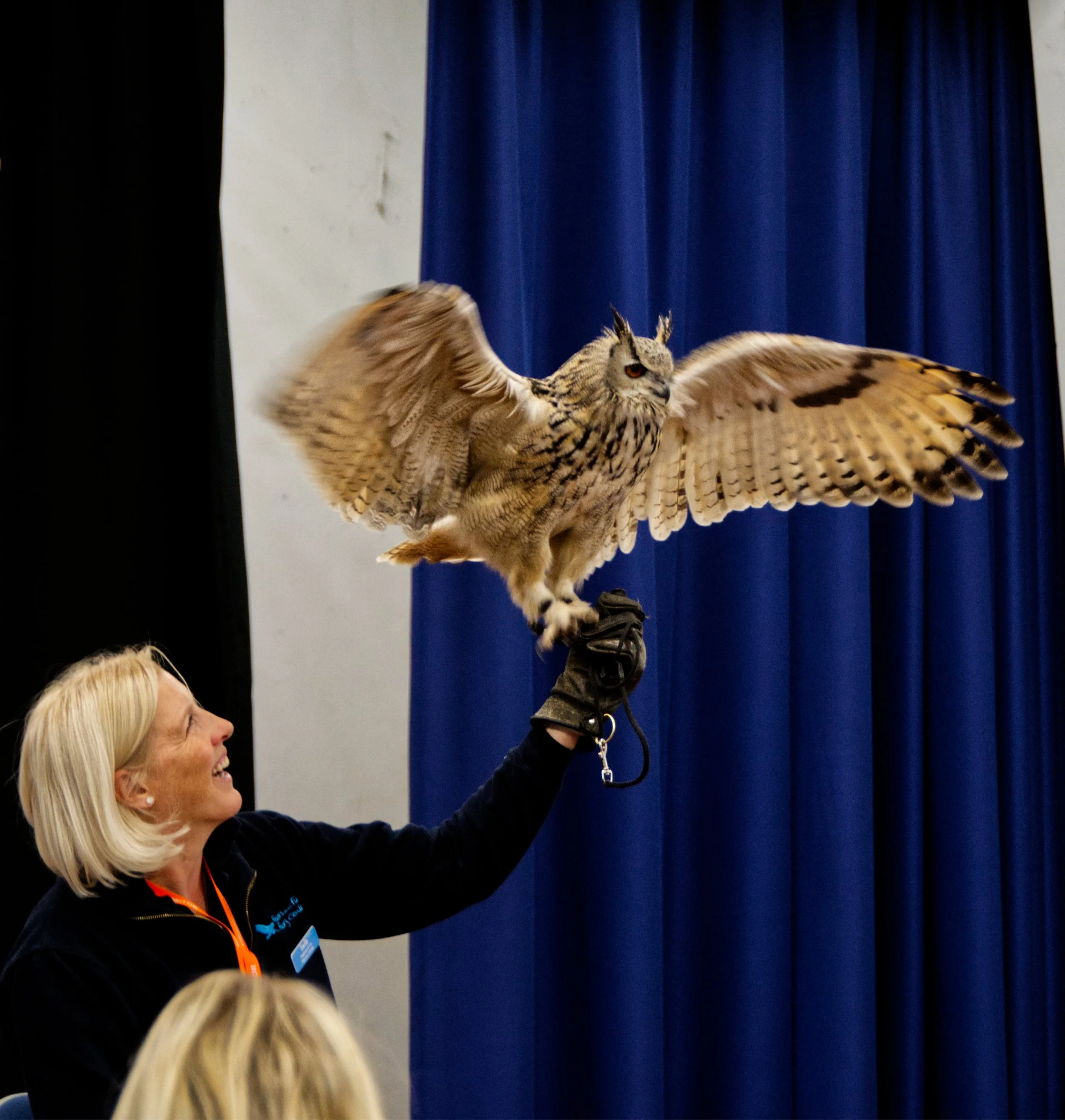 Birds of Prey School Visits