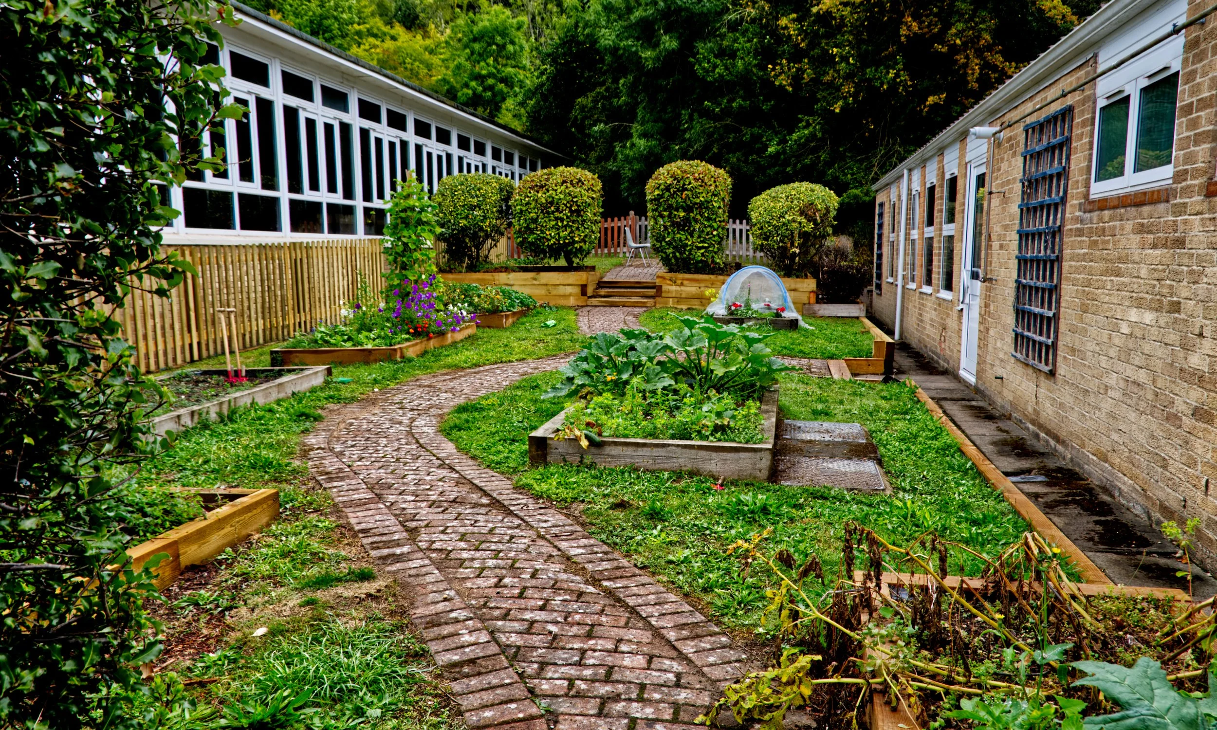 Ash Hill School courtyard garden 