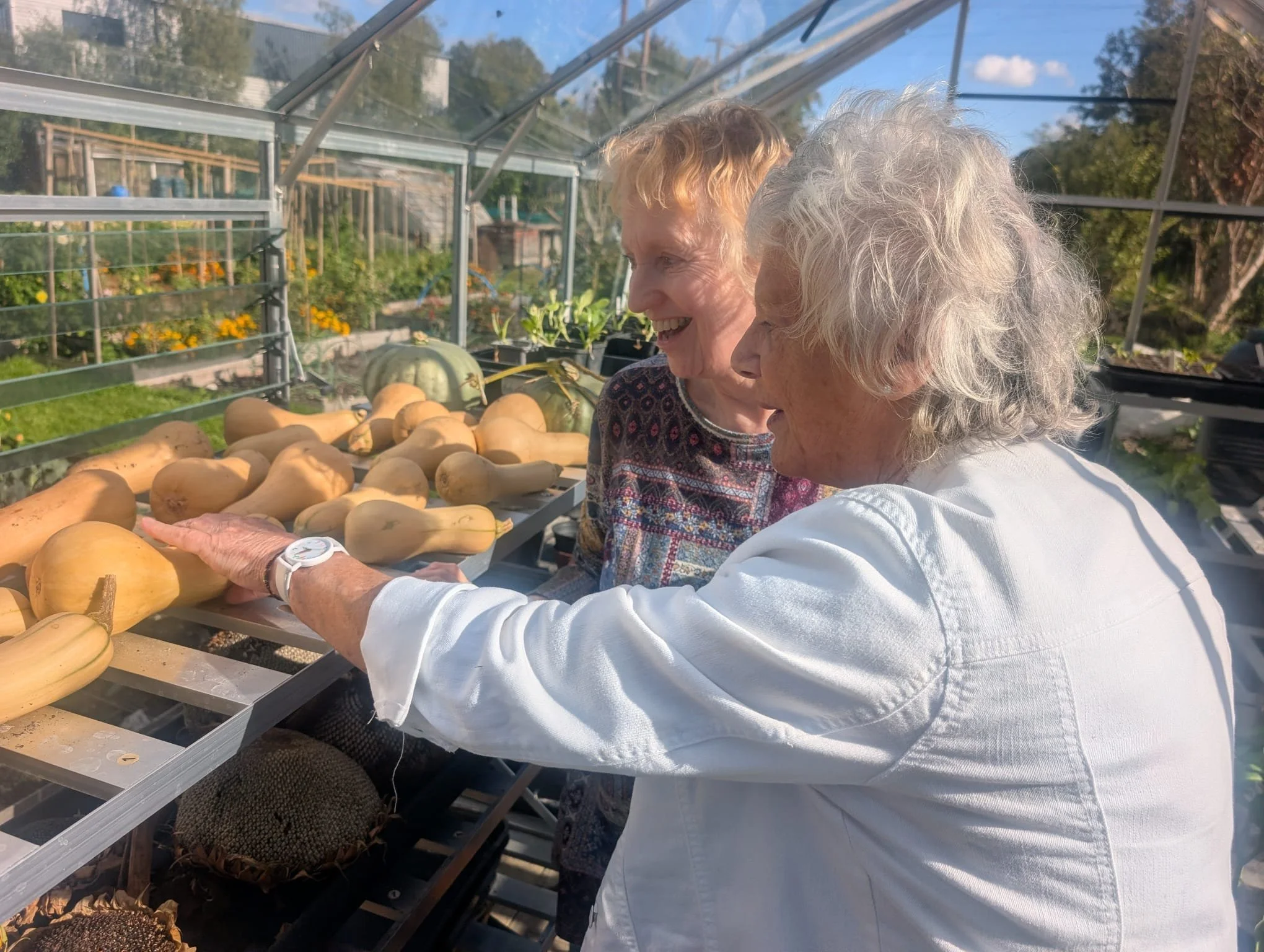 Allotment Tea Party