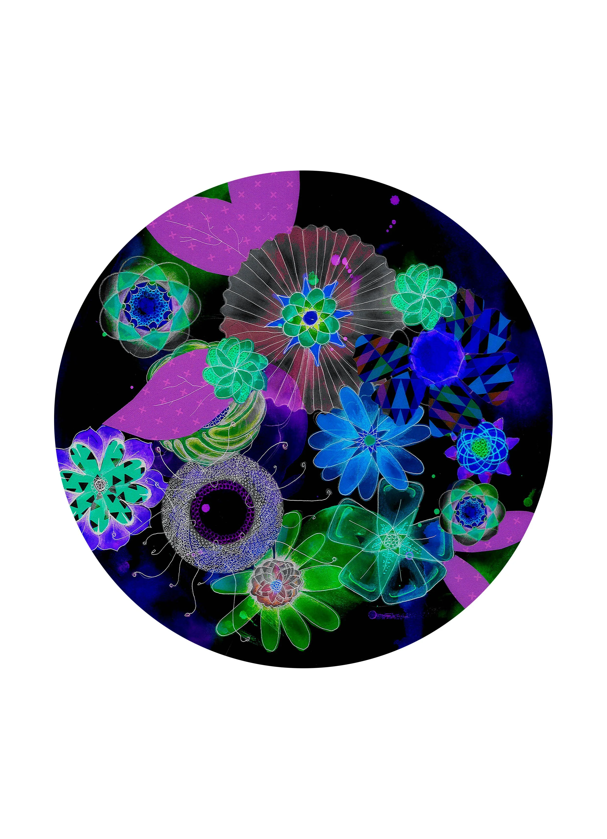 Poly-chromatic Night