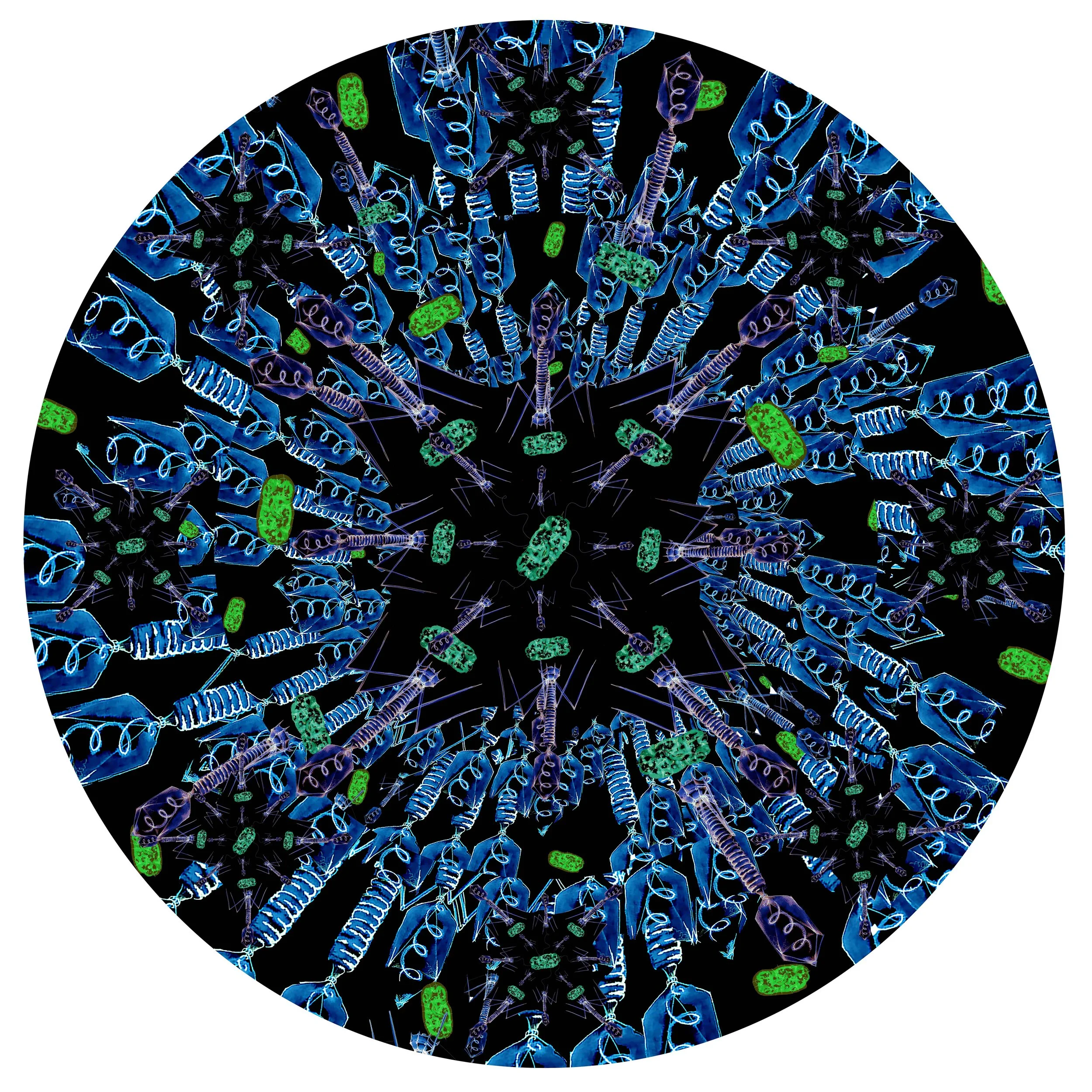 Microscopic view of bacteria with blue rod-shaped and green oval shapes on a black background.