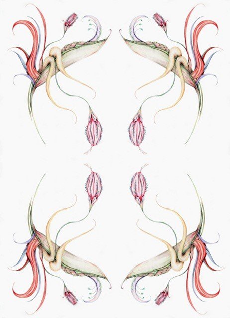 Abstract botanical illustration with symmetrical floral designs, featuring elongated leaves and curled petals in pastel shades on a white background.