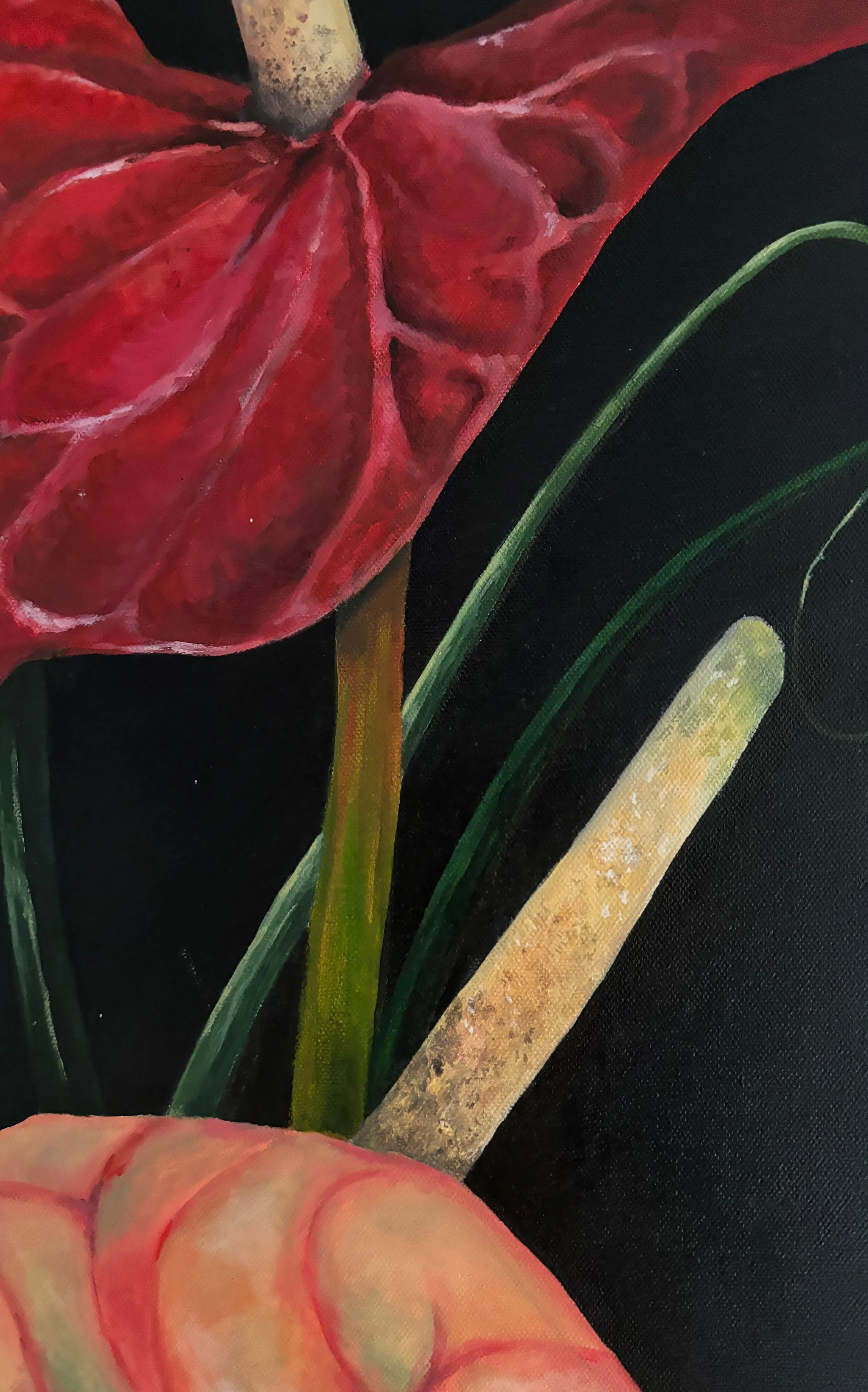 Close-up of a painting showing a red flower with large petals and a long, pale yellow stem, with green leaves in the background against a black backdrop.