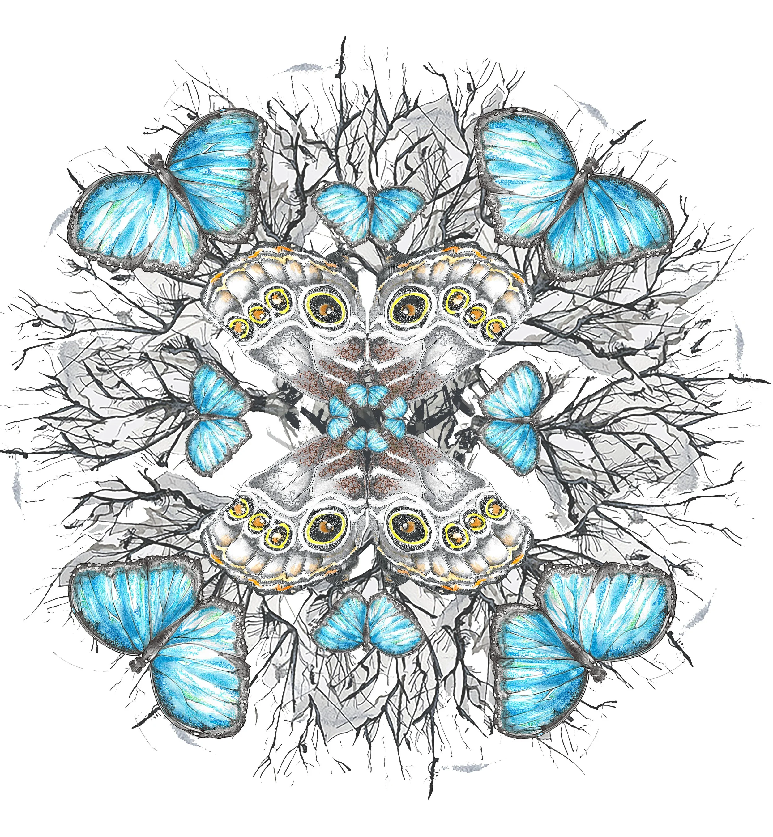 Symmetrical illustration featuring blue butterflies and moths with eye patterns, surrounded by dark, leafless branches.