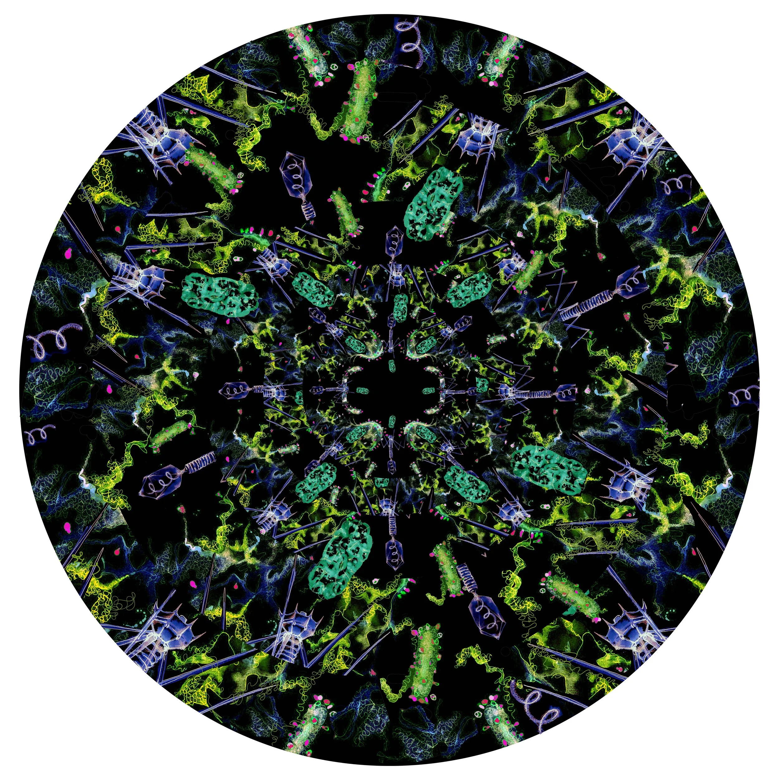 A neon-colored digital abstract pattern with concentric circles and various intricate shapes on a black background.