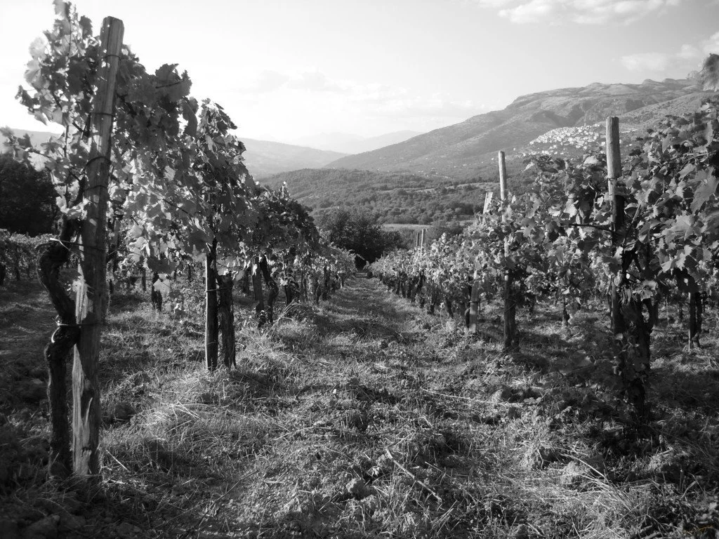 Spot pubblicitario breve