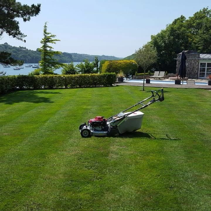 🌱 Grass Growing Like Wildfire? You&rsquo;re Not Alone&hellip; 🌦️

Sunshine. Showers. Repeat. ☀️☔️🌦️

Feels like the Cornish lawn&rsquo;s are growing faster than a pasty queue at the Falmouth Sea Shanty Festival at the minute. 🥟

✅ Top tip: Regula