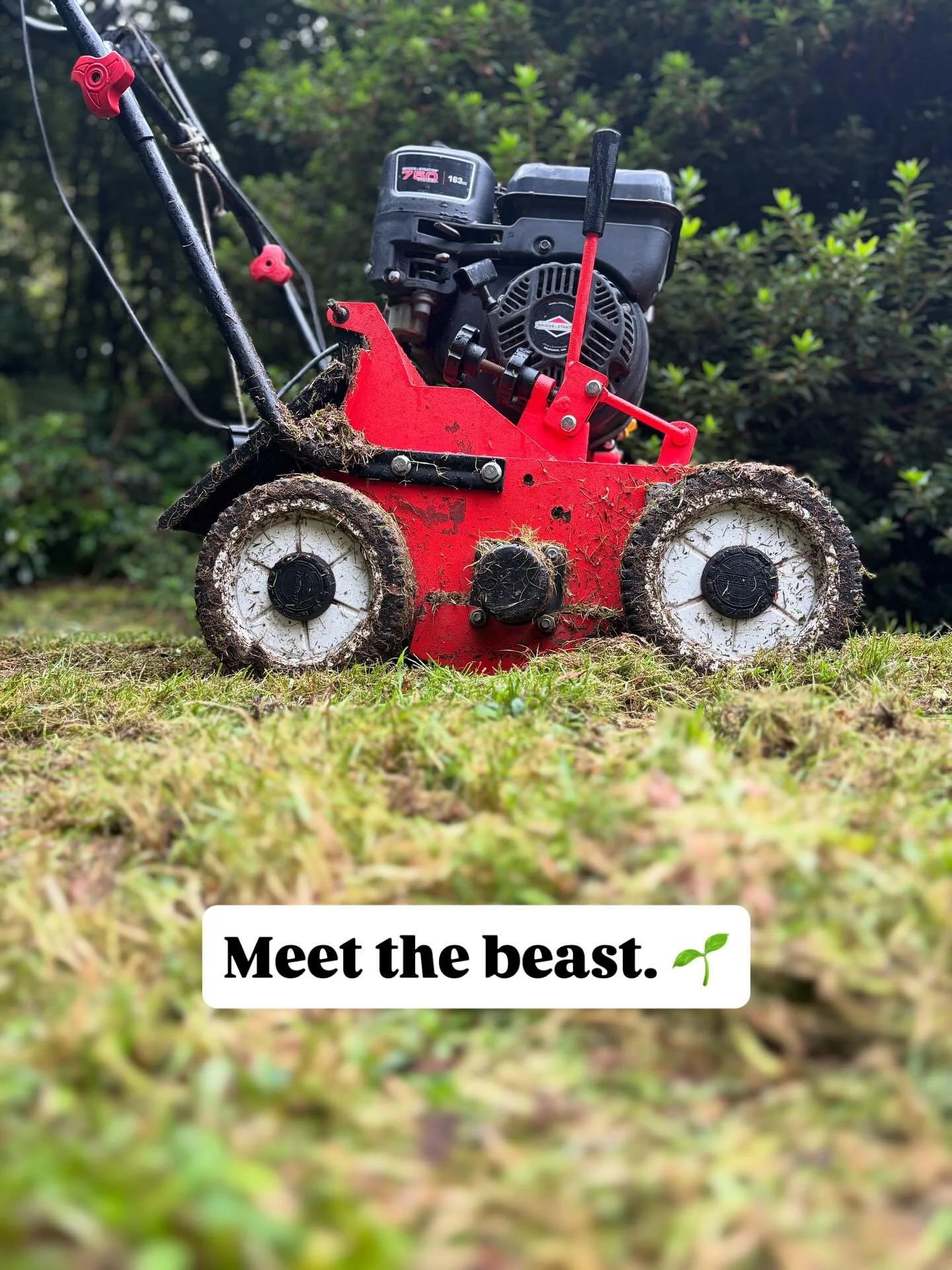 Up close and personal with the scarifier today 👀🌱

One pass and you can see the difference straight away, all that moss and thatch lifted, leaving the lawn room to breathe again. 

Right, back to it&hellip;💪