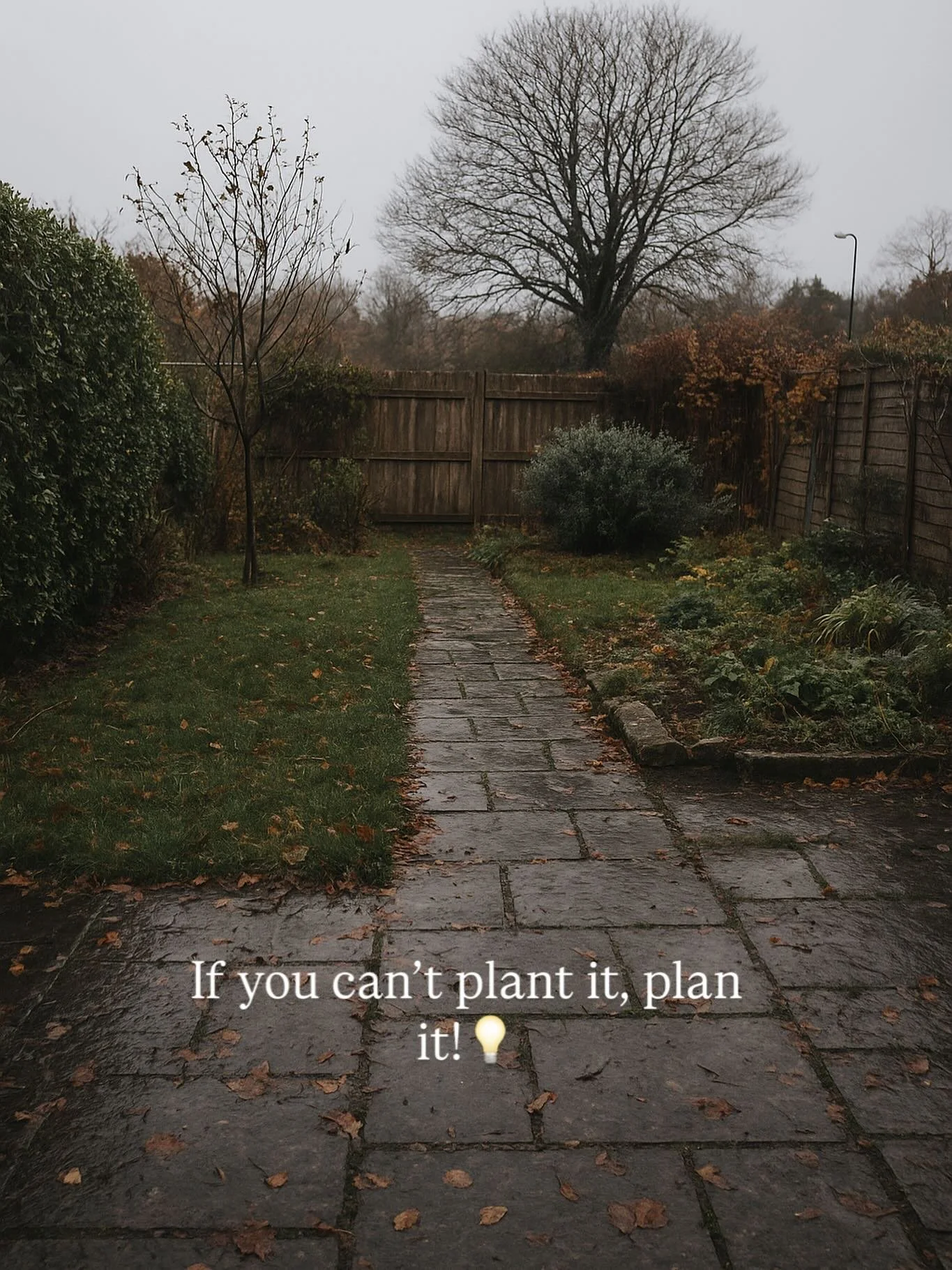 Grey, damp, and windy, proper Cornish weather. 

Again. ☔️💨

Days like this are perfect for planning, not planting. 

Grab a cuppa, look out the window, and start dreaming of what your garden could be come spring. 🌿☕️

Because before you know it, t