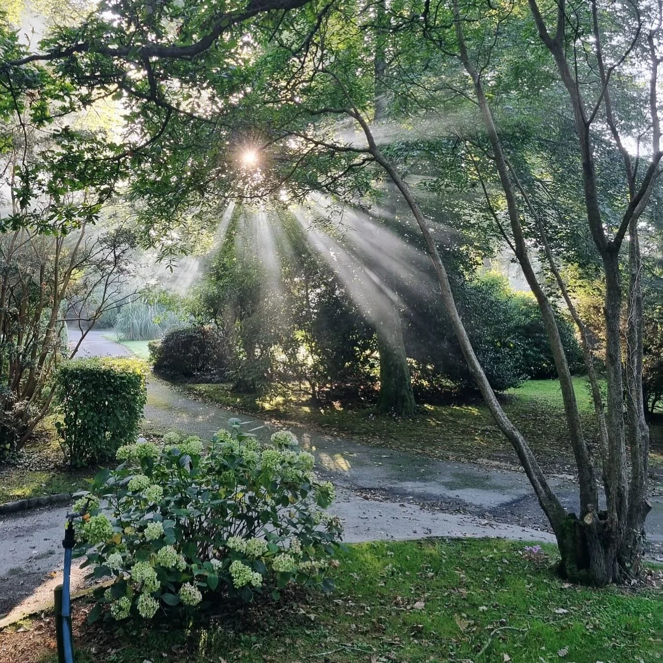 This photo takes me back to earlier in the year, one of those peaceful mornings where Cornwall shows off a bit. ✨

We&rsquo;re really grateful to everyone who trusts us with their gardens. It means a lot, and we never take it for granted. A tidy-up, 