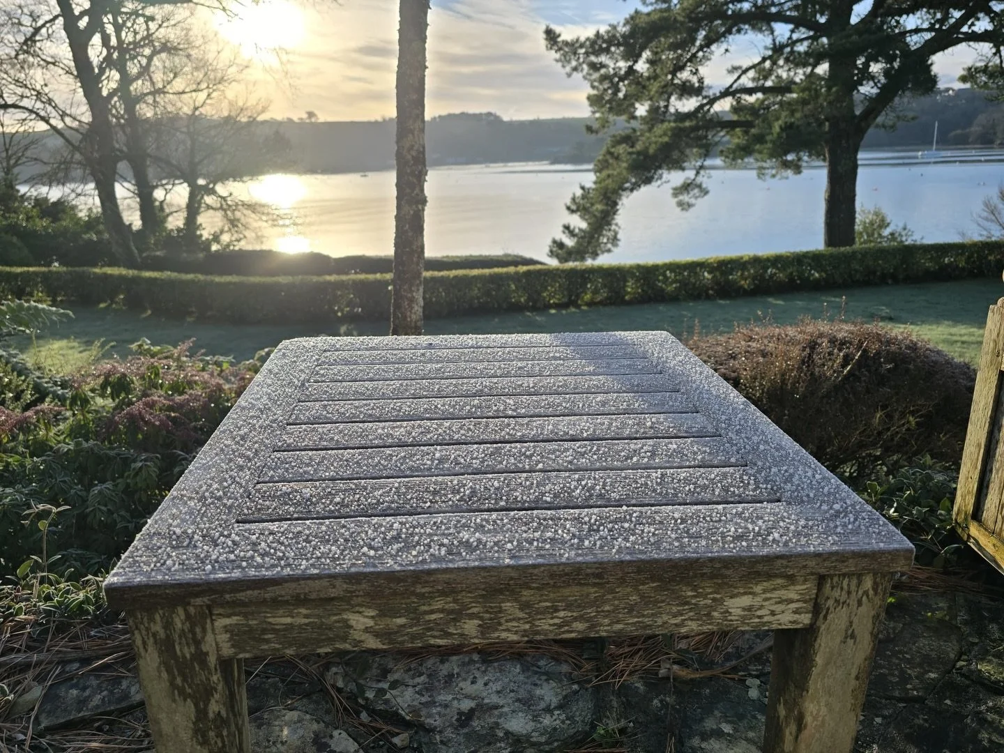 Crisp winter sunshine down on the Helford this morning, dead-heading camellias and easing back into the rhythm after the break. 🌿

Early January&rsquo;s a brilliant time to get a few quiet jobs done while everything&rsquo;s still bare and easy to re