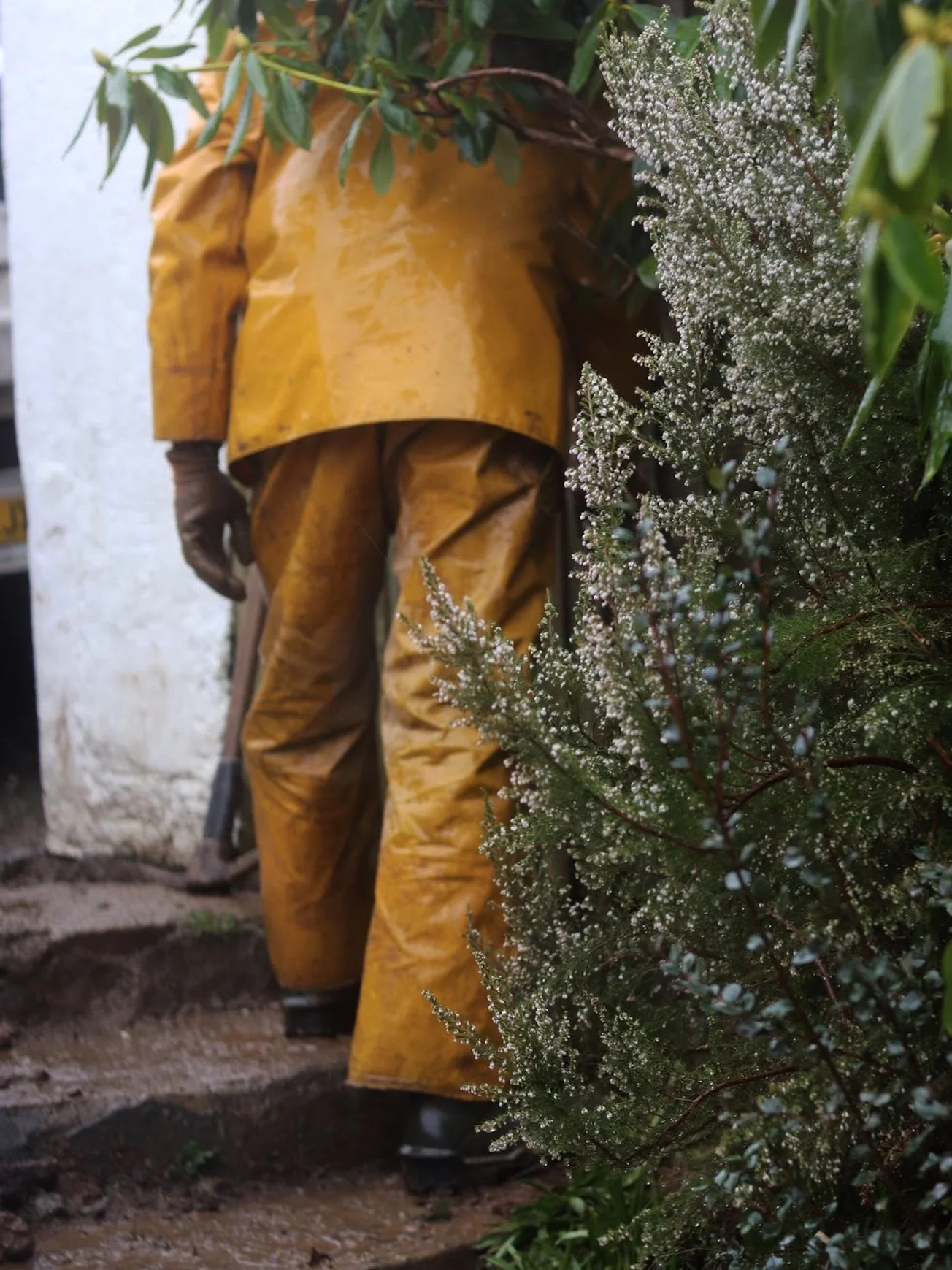 Relentless at the minute. 🌧️

Rain coming down sideways.
Steps running like streams.
Boots never quite dry.

Cornwall&rsquo;s doing Cornwall things.

We keep moving.

Tom 🌿