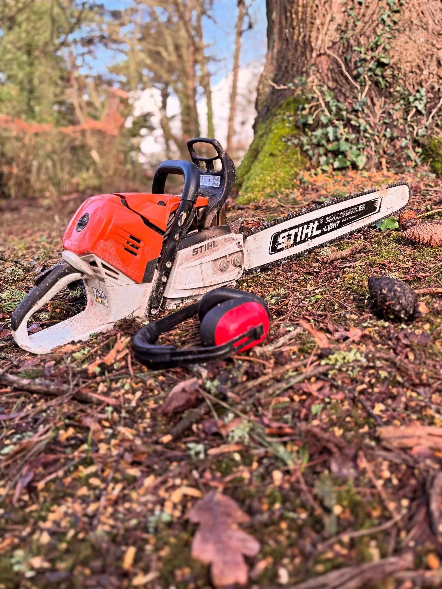 Thursday nights look a bit like this.

Saw down.
Ears off.
Bit of fresh air before heading home.