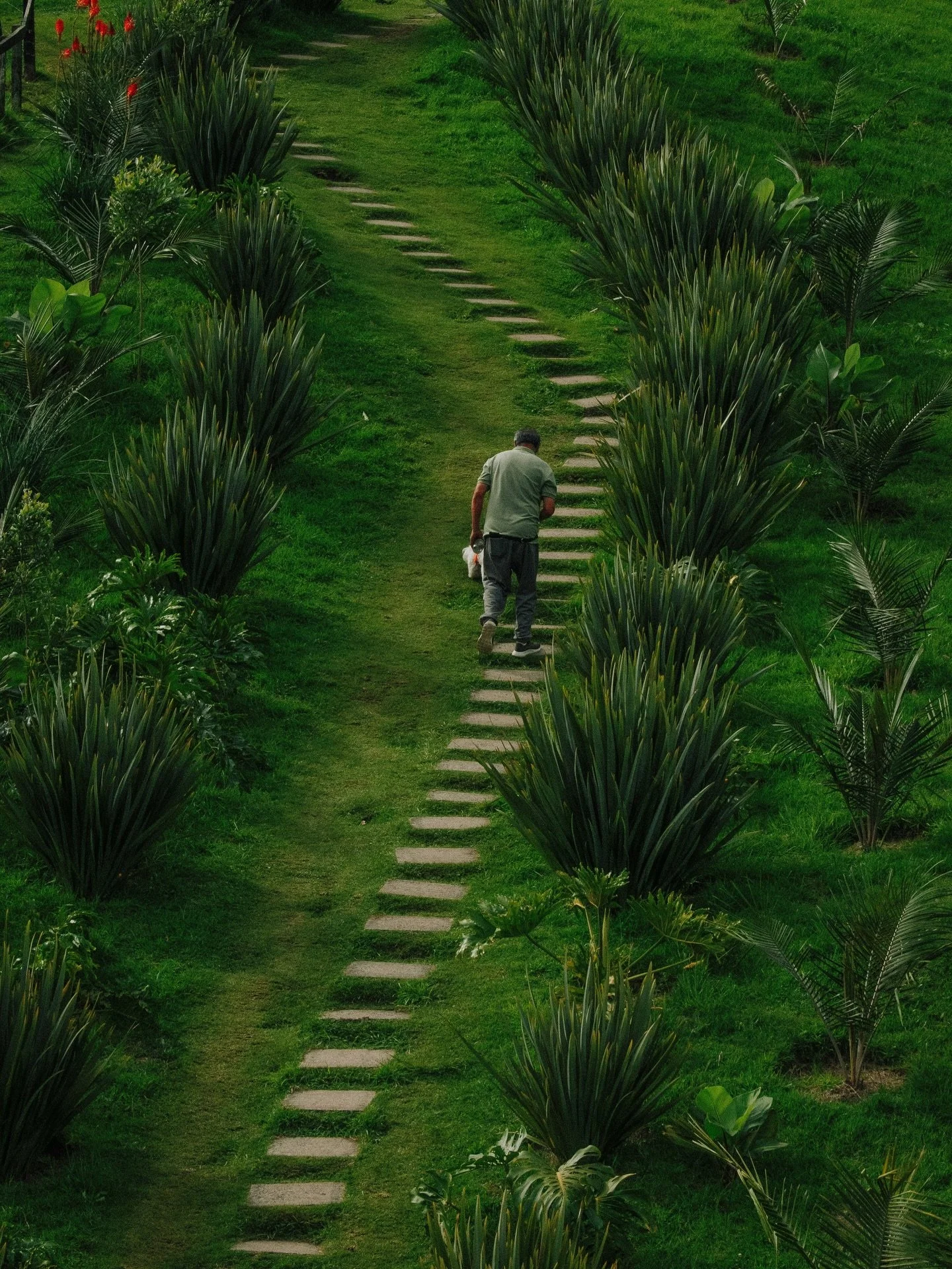 Gardens we see a lot of in Cornwall:

&bull; The steep one ☝️ 
&bull; The windy one
&bull; The shady one
&bull; The &ldquo;nothing will grow here&rdquo; one
&bull; The &ldquo;we don&rsquo;t know what to do with it&rdquo; one

Most gardens aren&rsquo;