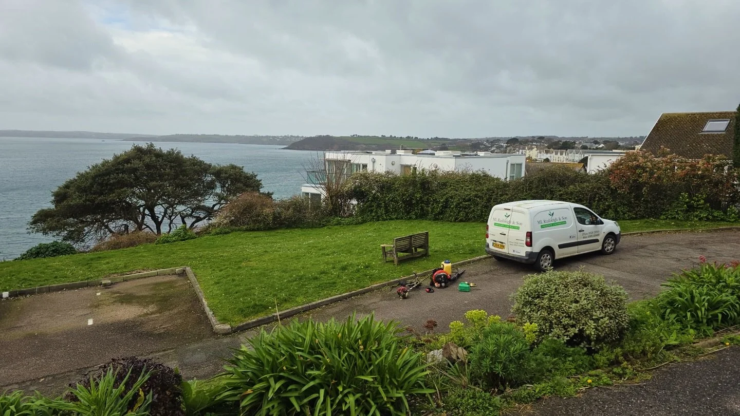 Rashleigh &amp; Son - Your Local Landscape Gardener in Cornwall