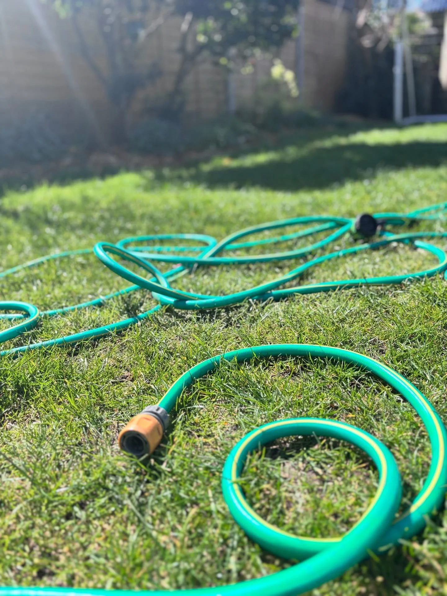 That time of year when everyone goes into the garden for the first time and realises there&rsquo;s more to do than they thought. 

Happens every year.

Have a good bank holiday Monday everyone. ☀️ 

Ansum day for it! 

Tom 🌿