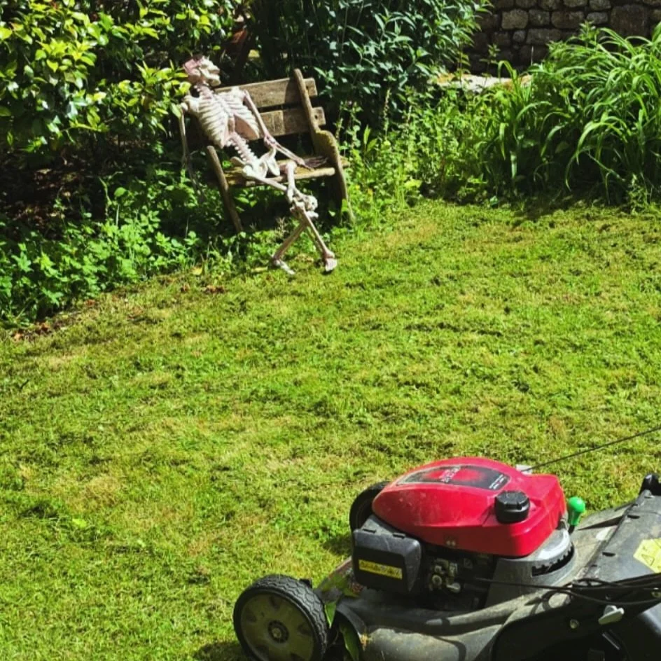 Tom&rsquo;s lawns are so relaxing people are dying to sit on them. 💚