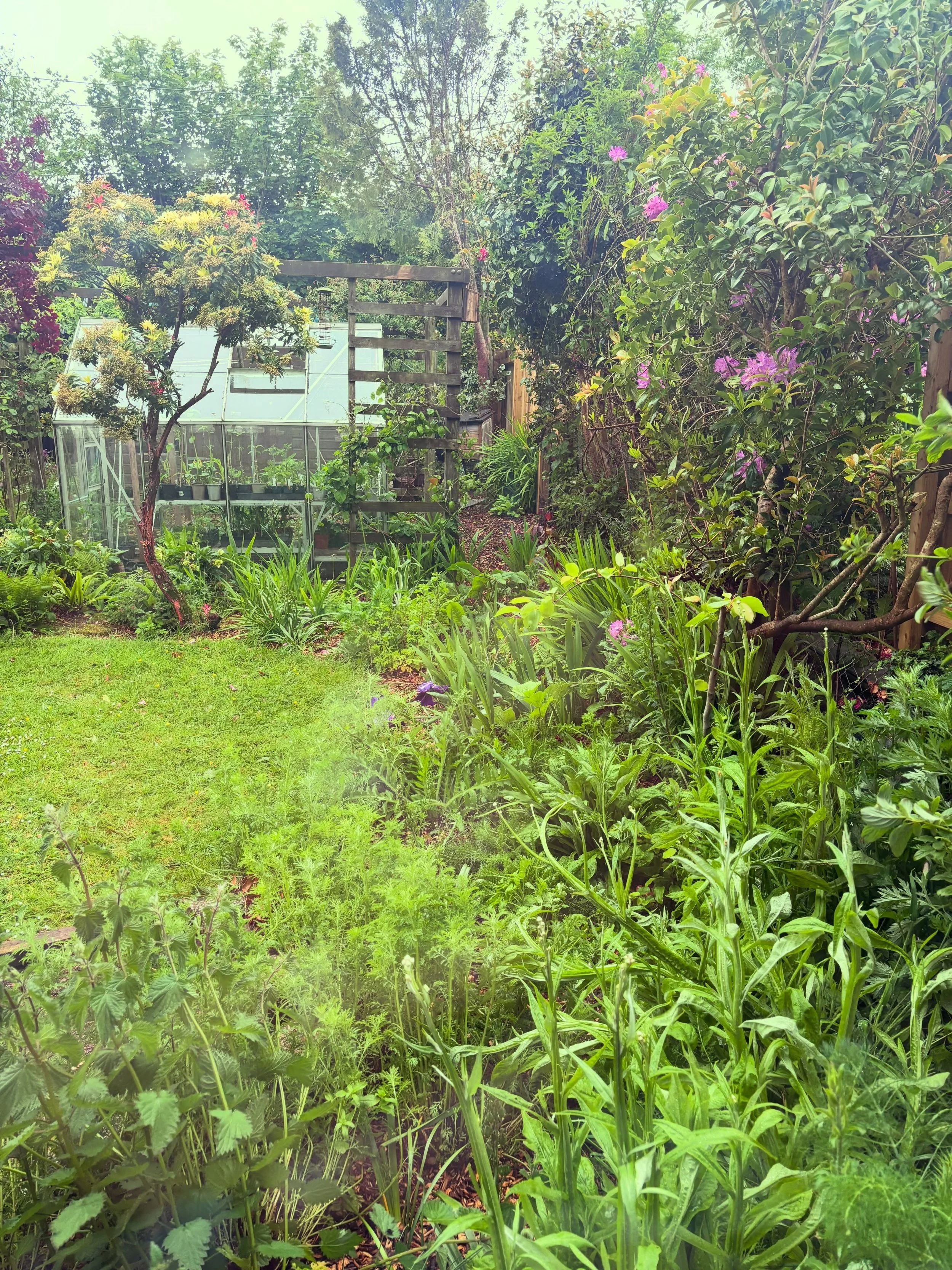 Not the warmest May we&rsquo;ve ever had 😅🌿

But you can&rsquo;t beat this time of year when everything suddenly looks alive again. 

Grass growing properly.
Flowers coming out.
Gardens filling back up with colour.

Makes all the wet mornings worth