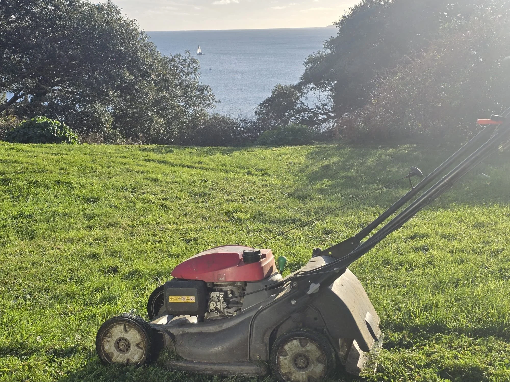 The Bits of Your Garden You Don’t Notice Until the Weather Changes