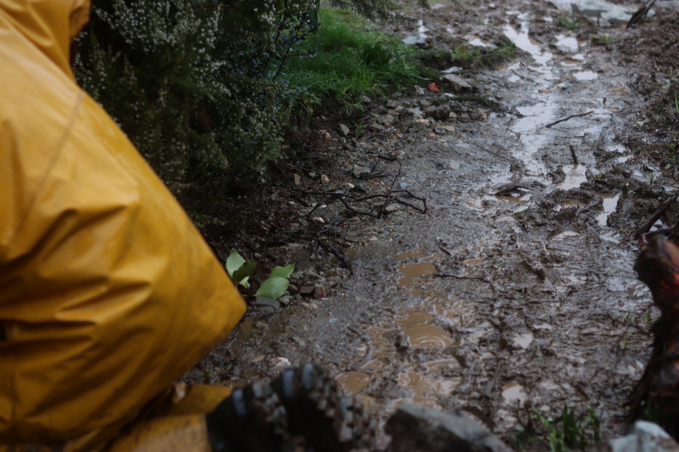Landscaping work continuing in heavy rain in Cornwall, showing muddy ground conditions on site.