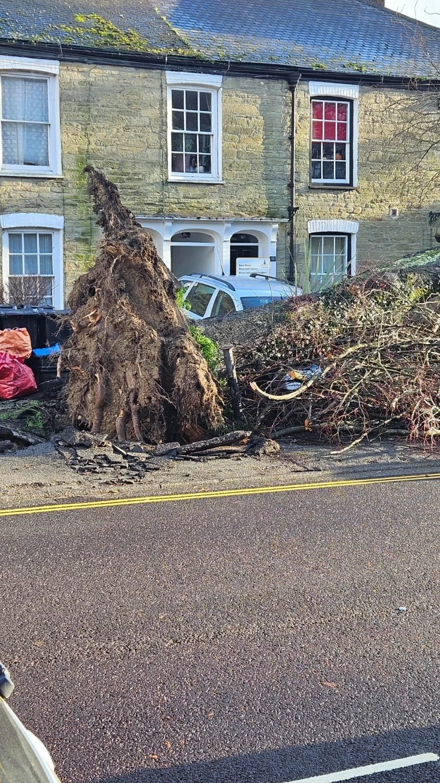 Uprooted tree fallen on car, after Storm Goretti blocking a driveway in a Falmouth.