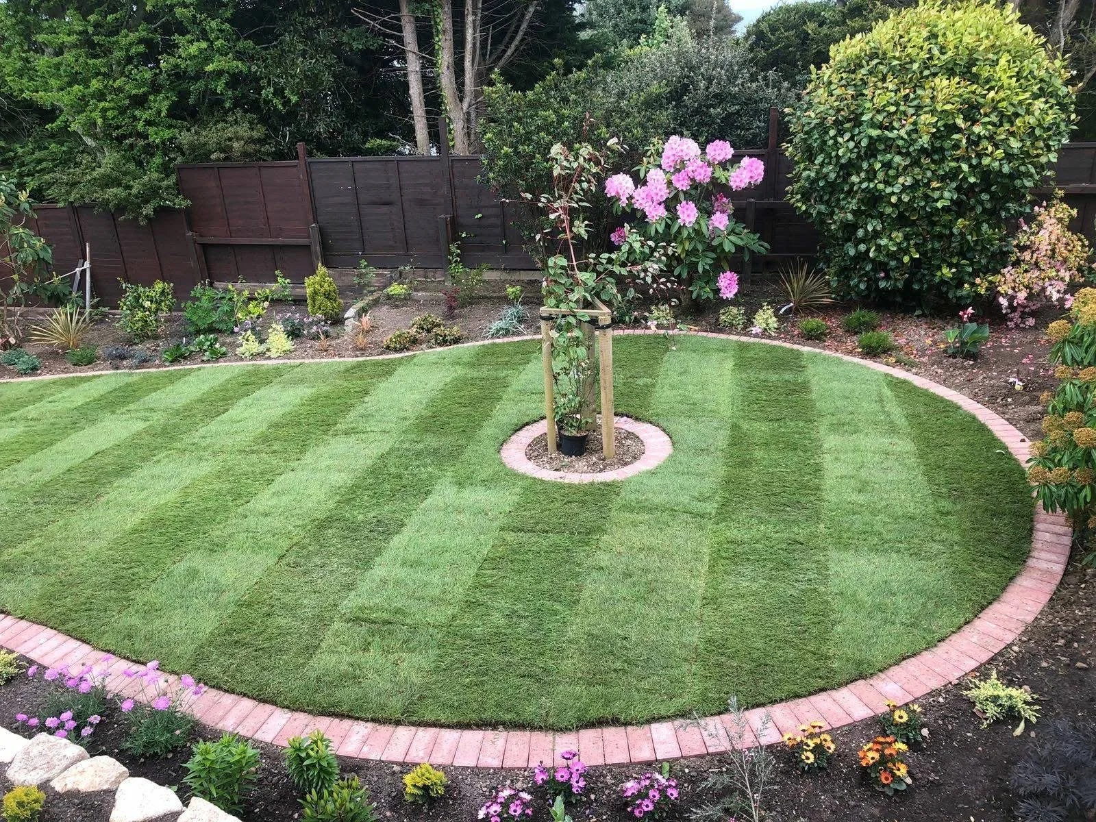 Newly laid circular lawn with planted borders in a landscaped Cornwall garden