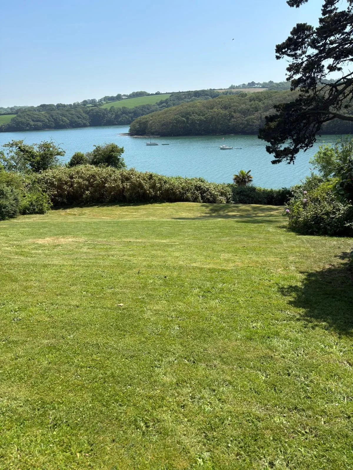 Well-maintained lawn overlooking the Helford River in Cornwall, showing healthy grass despite the dry summer conditions.