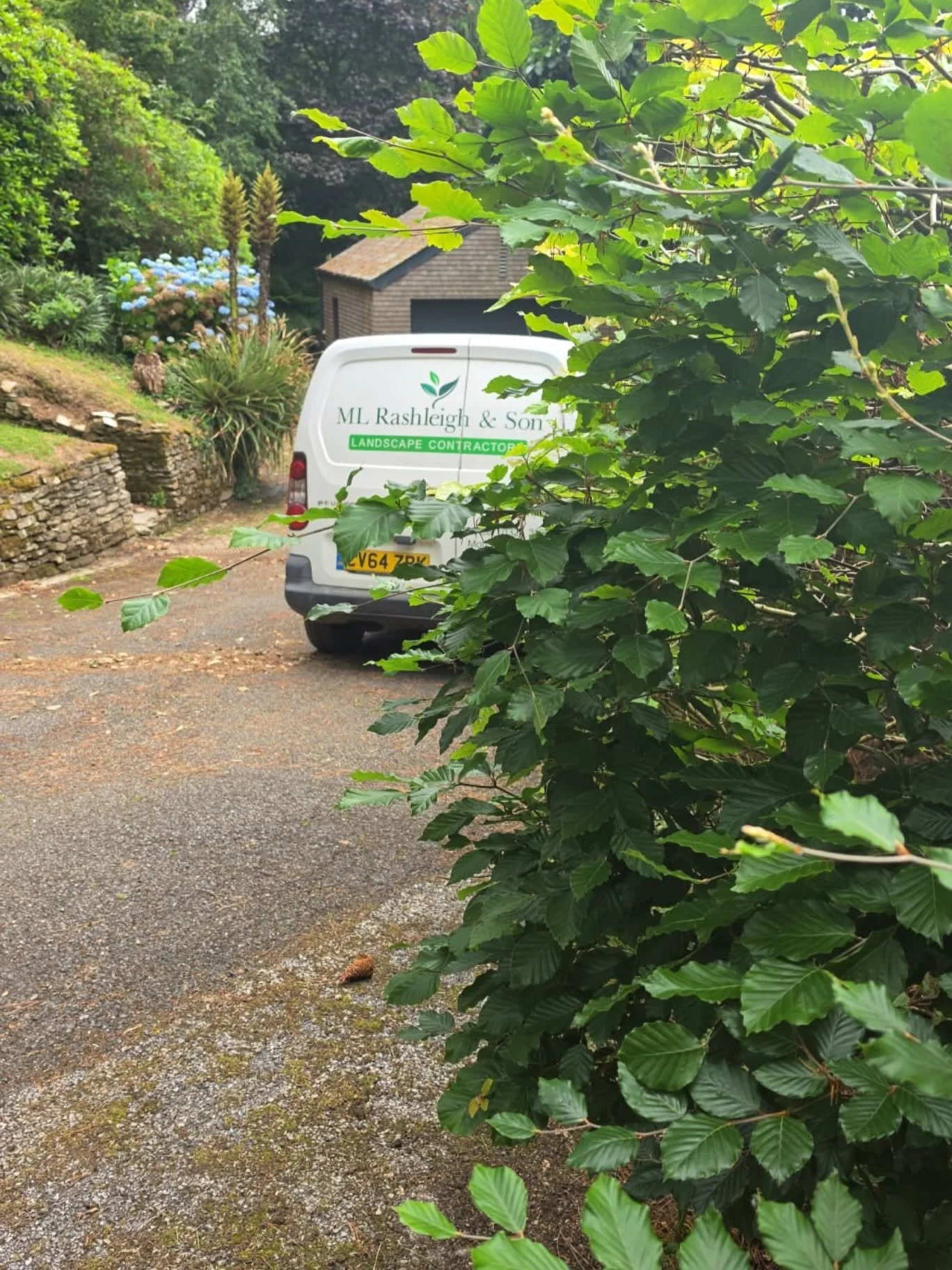 M.L. Rashleigh & Son landscape gardener van arriving at a garden project in Cornwall surrounded by mature trees and shrubs.