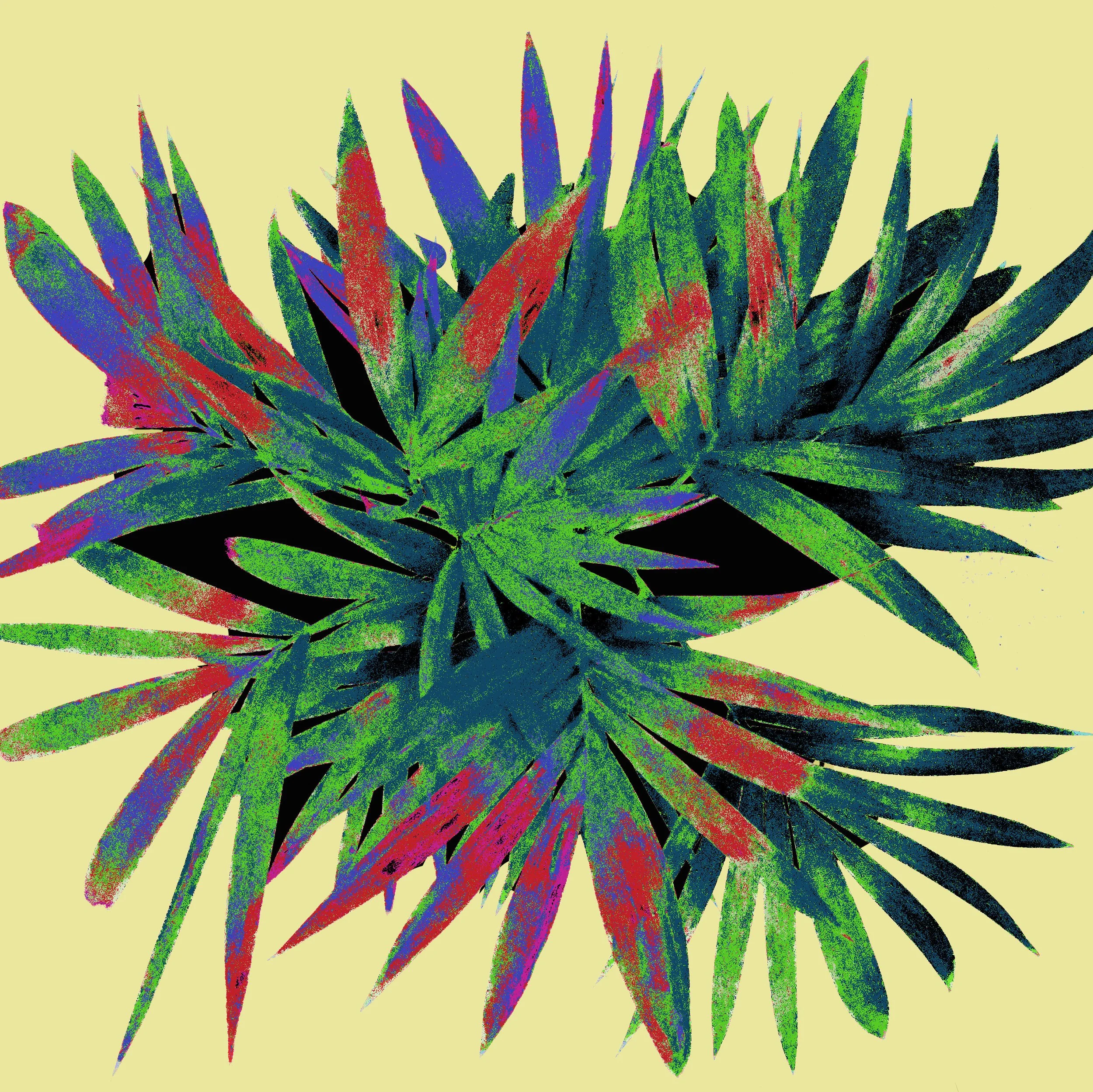Top-Plant-24-x-24.jpg