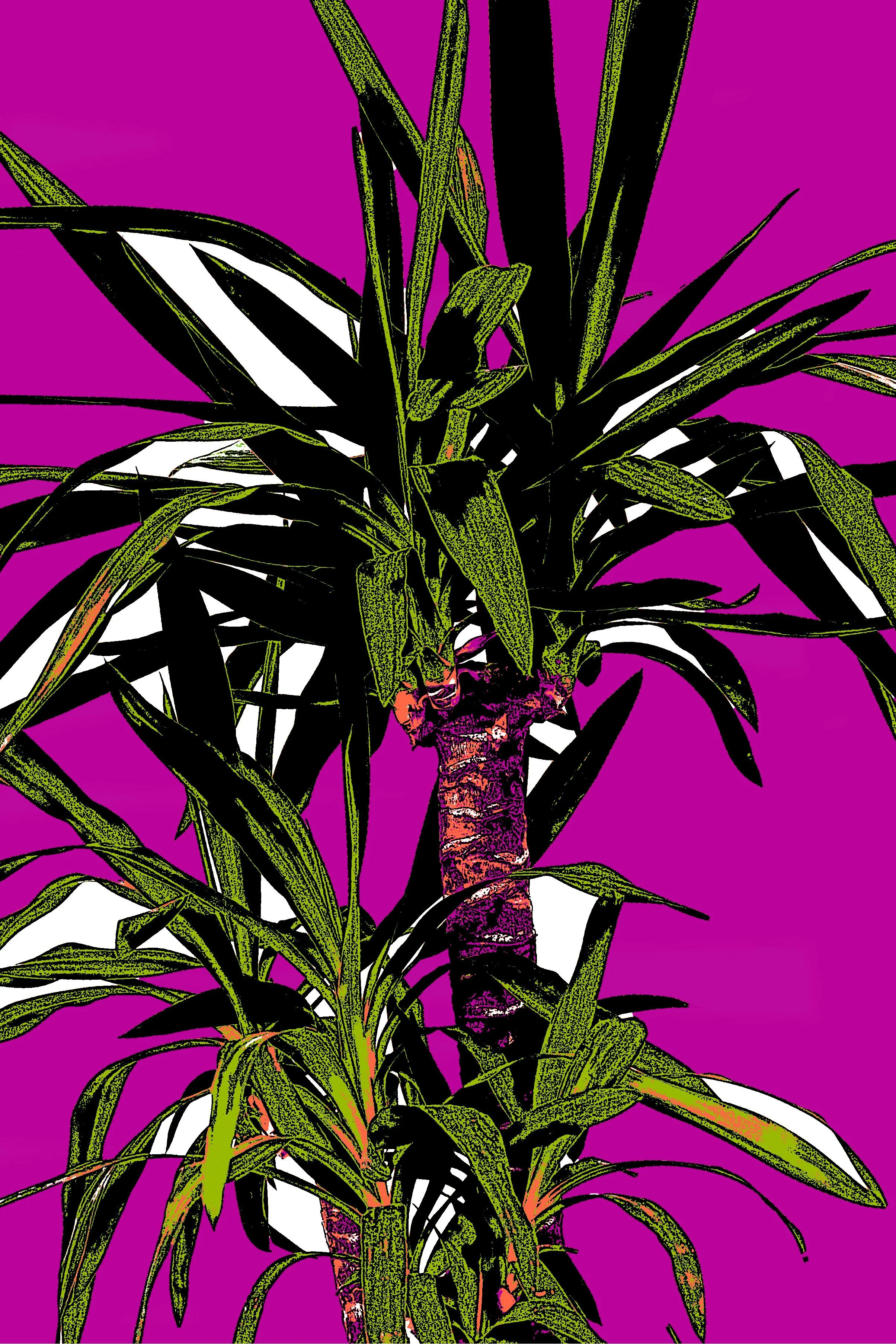 _Pink-Potted-Plant-18-x-27.jpg