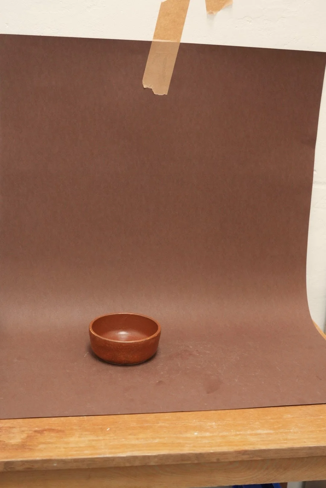 LE kassi-koera kauss