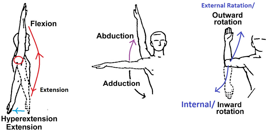 Shoulder Pain During Bench Press: Causes and Solutions