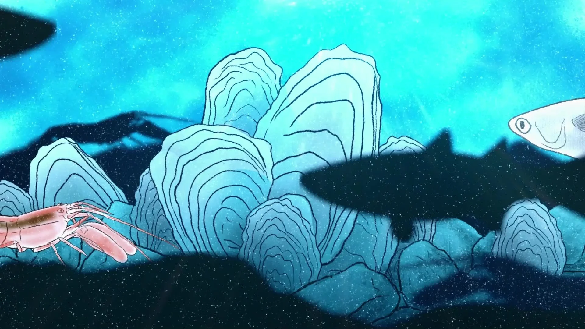 TOG_Animation Frame.jpg