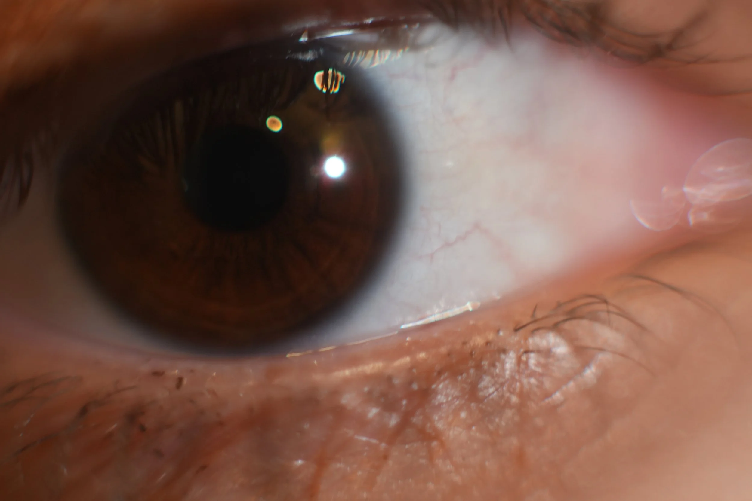 Buscando oro en un pueblo de Asturias