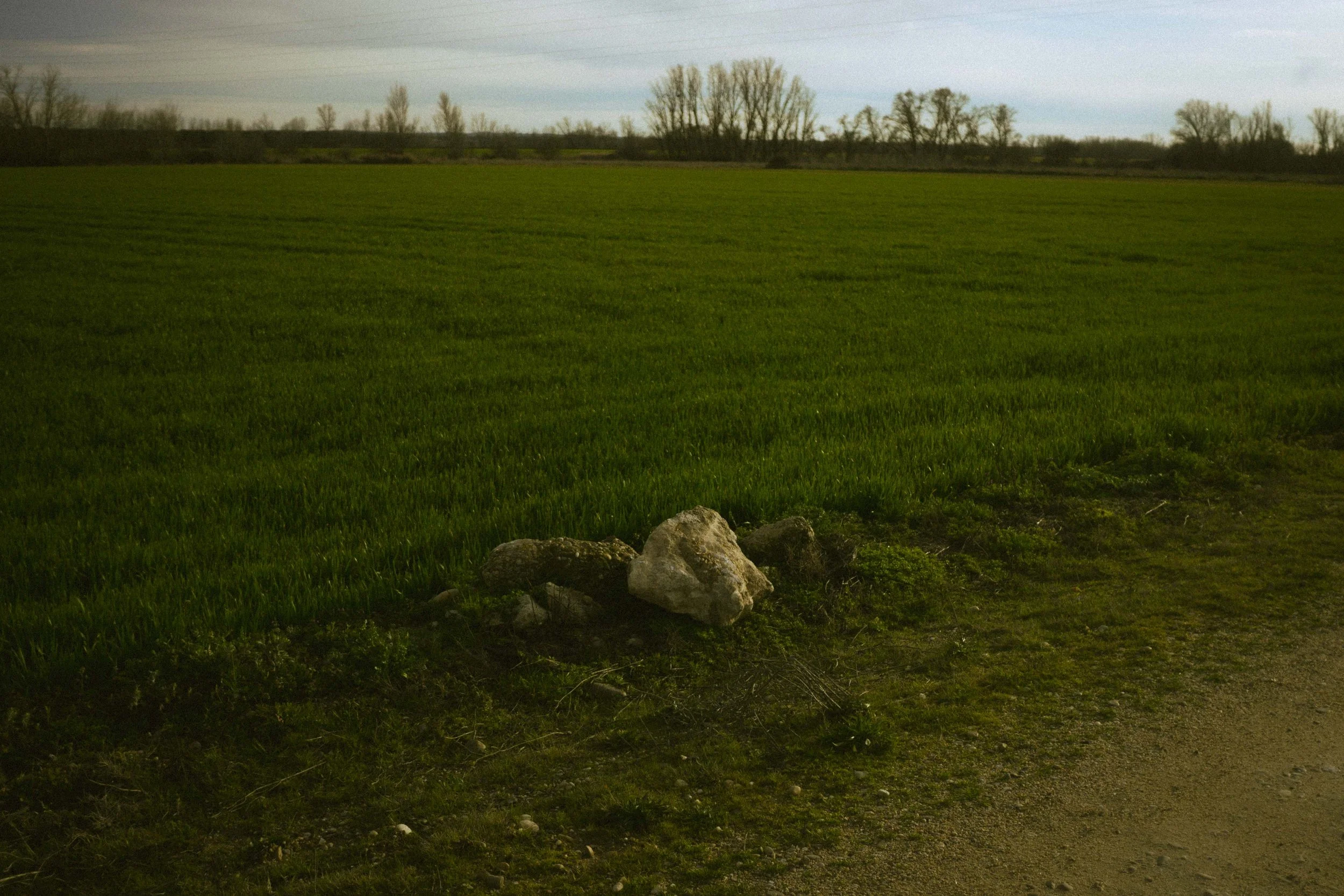 La activista que entierra a sus amigas