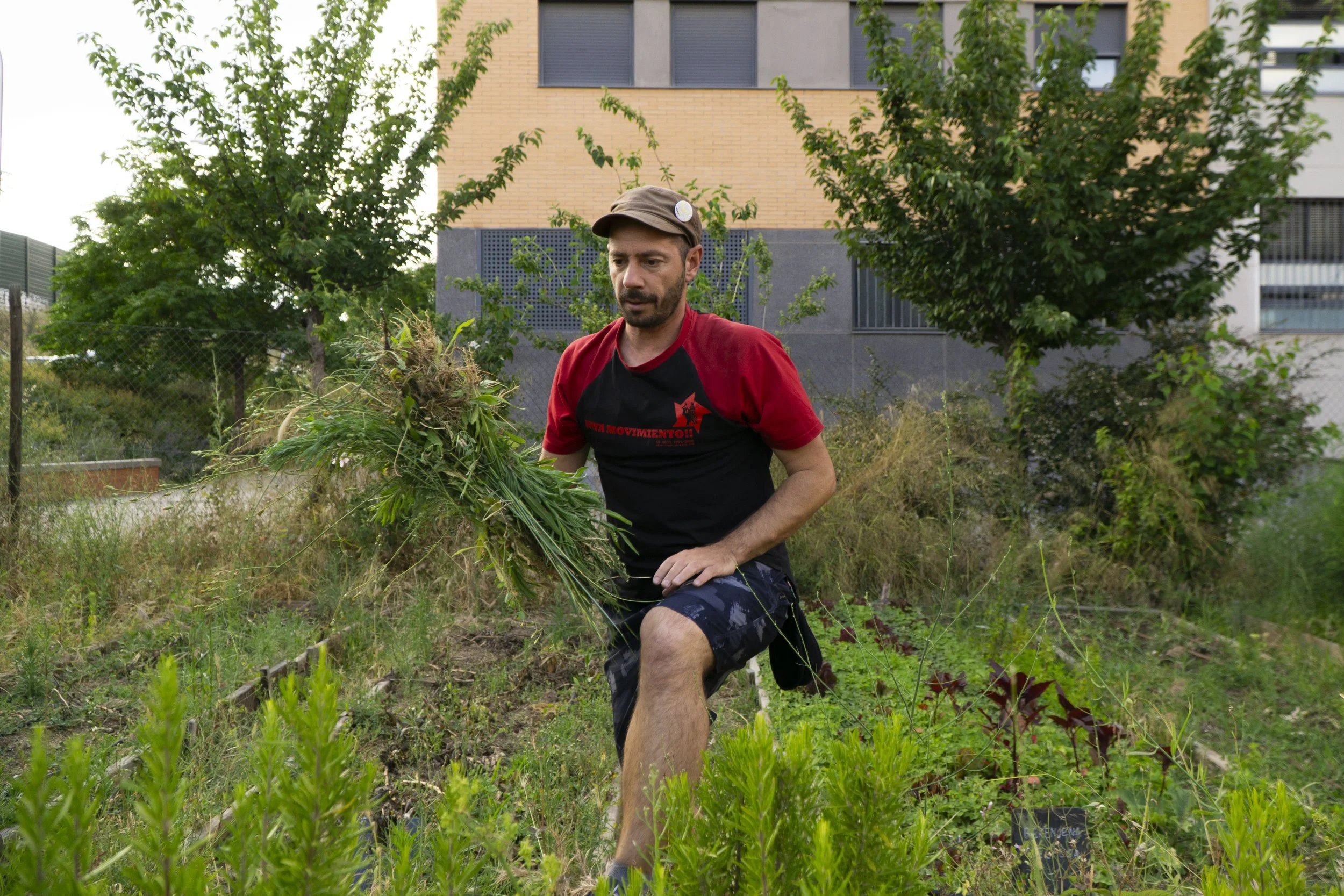 HUERRTO URBANO04.jpg