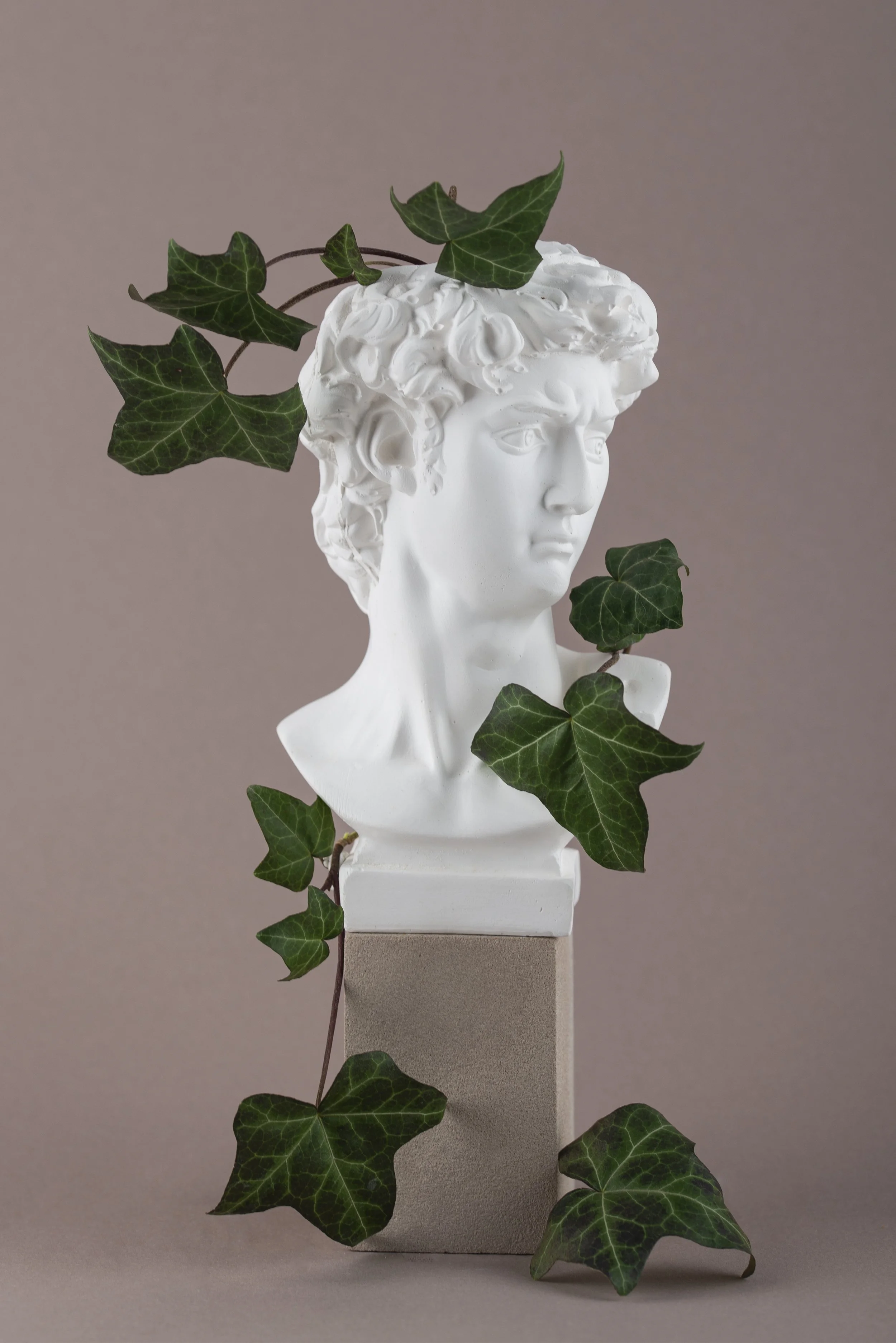 Michaelangelo’s little sculpture...&nbsp;