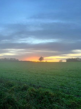 Things to see and do in Stourbridge in the New Year.&nbsp;