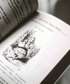 She’s “Off with her head”: Alice’s ‘trip’ into Wonderland&nbsp;&nbsp;