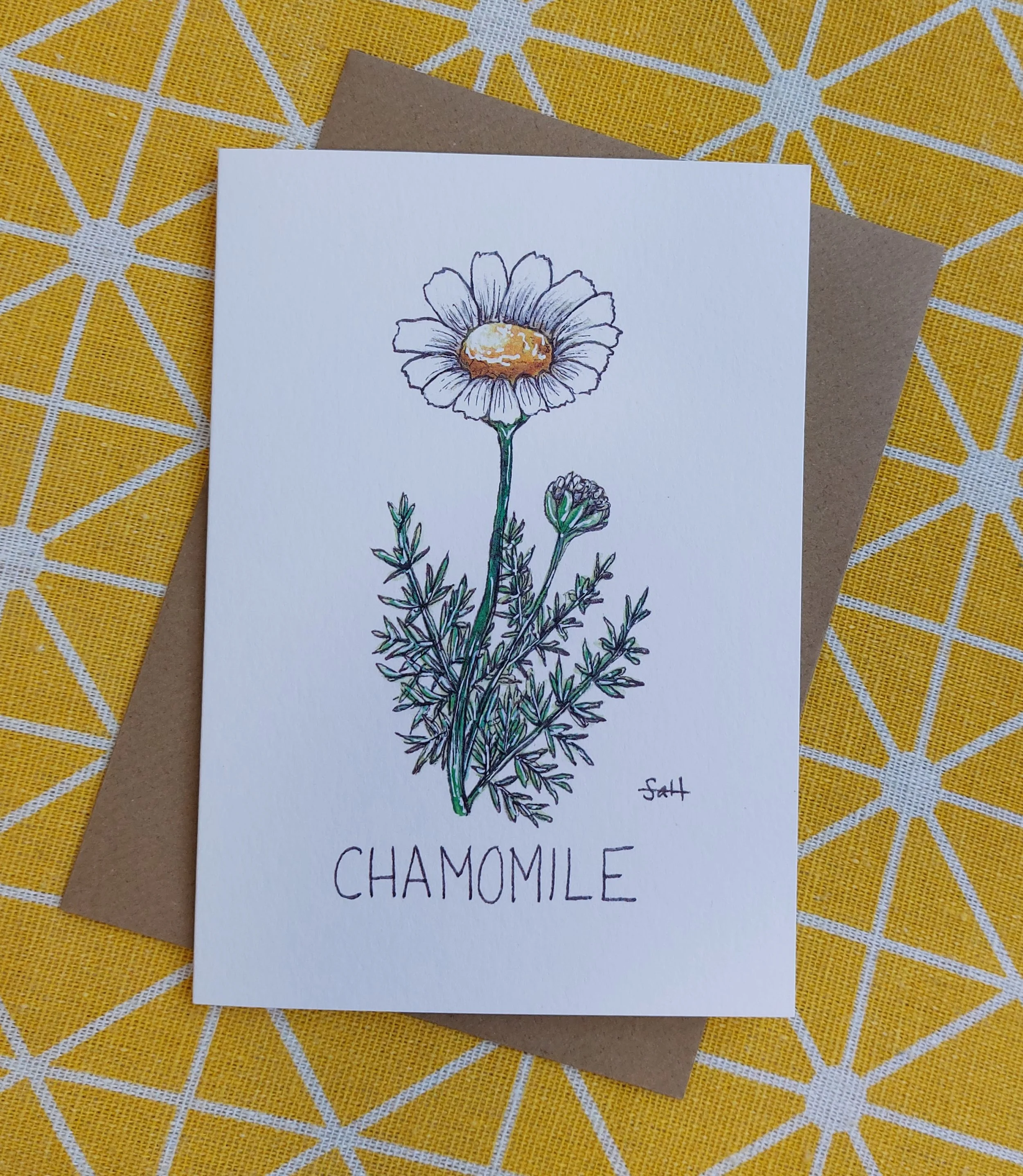 Chamomile Greetings Card