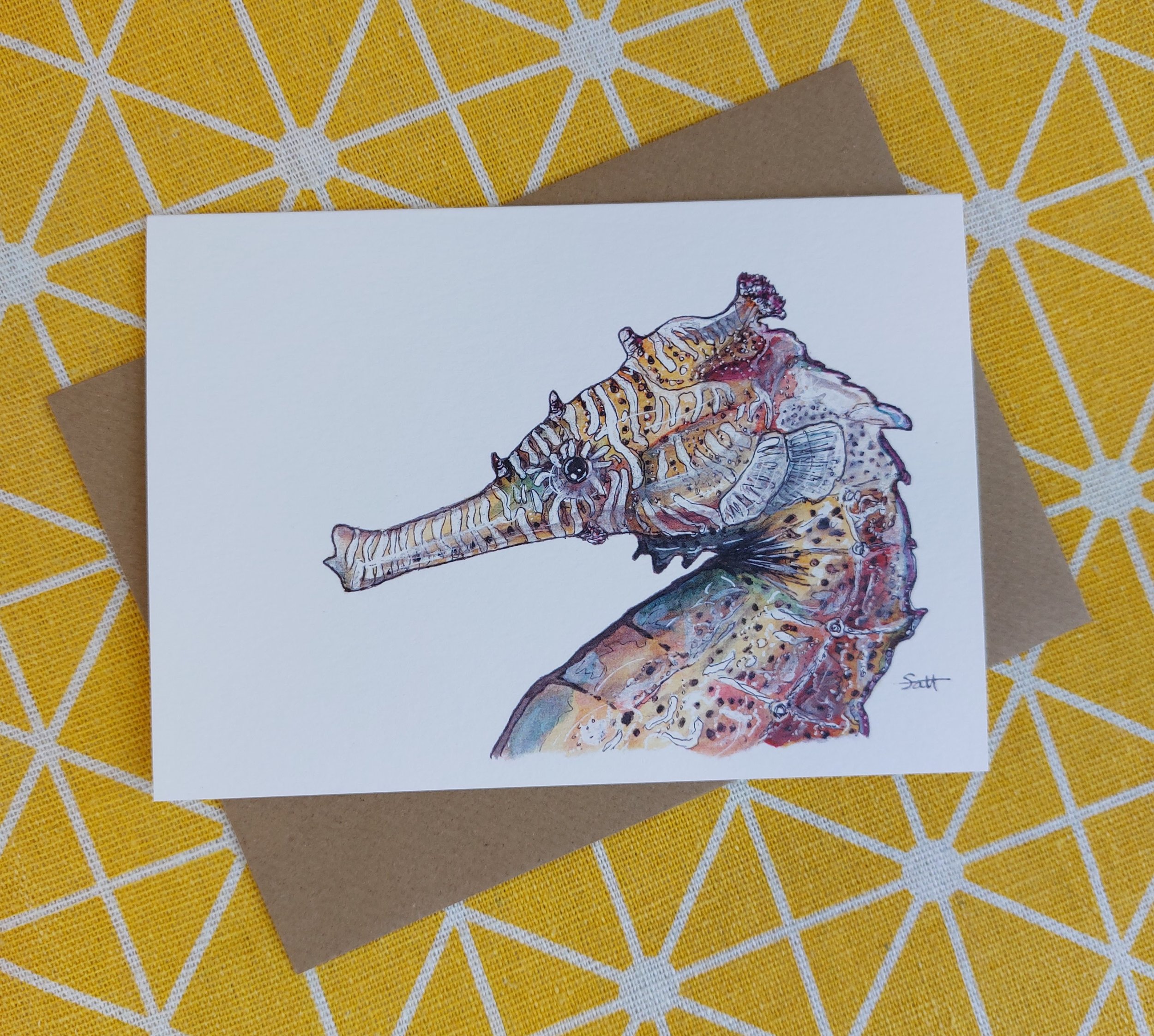 Seahorse Greetings Card