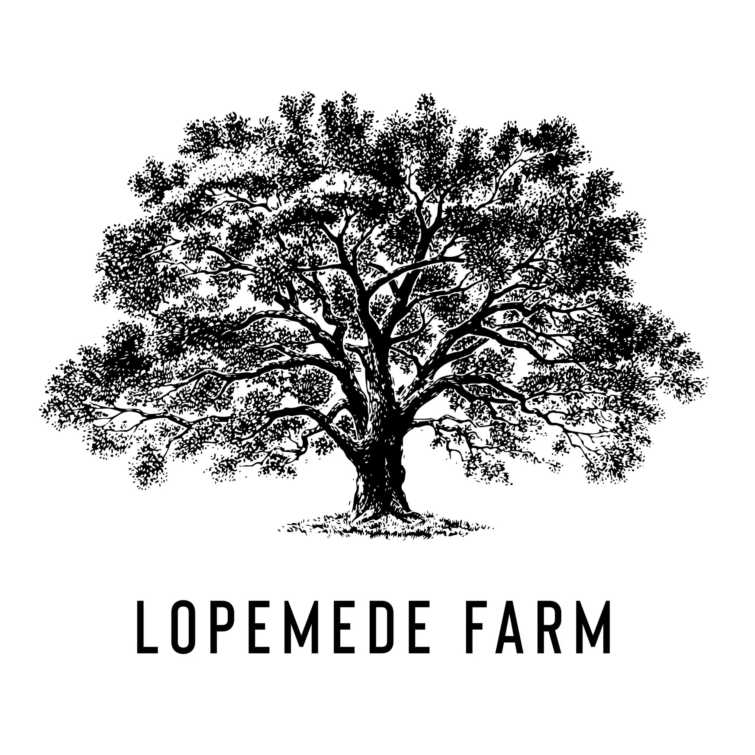 Lopemead Farm Artisan Market