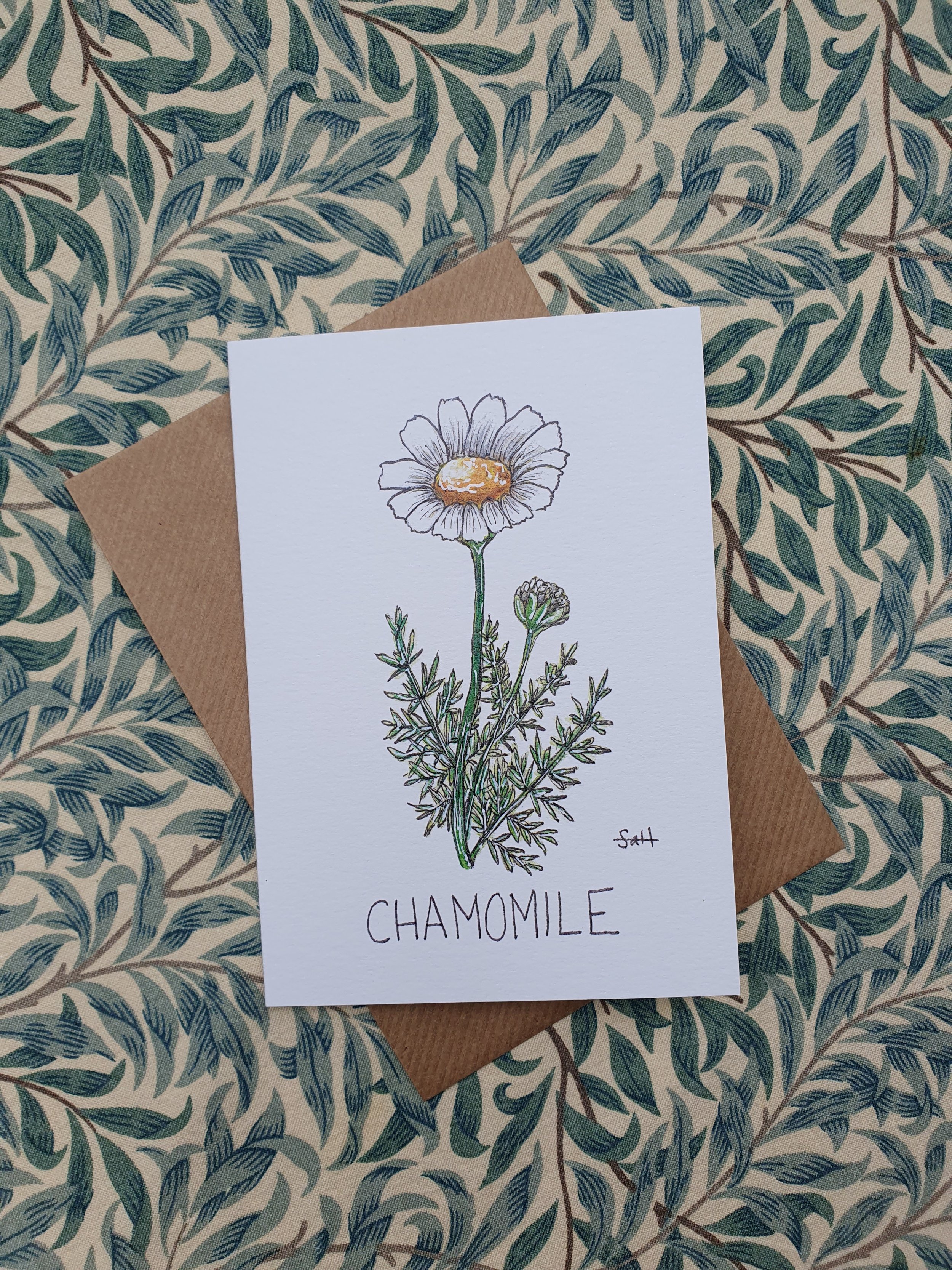 Chamomile Greetings Card