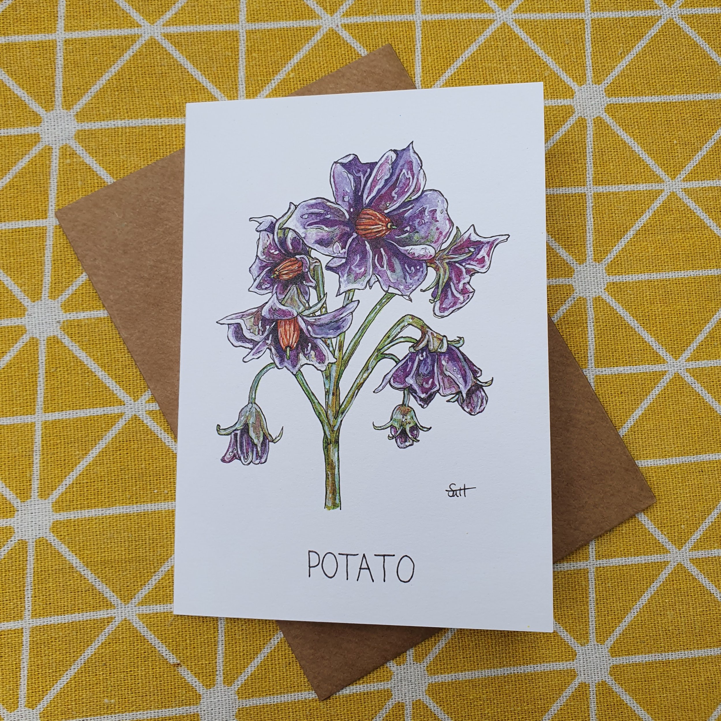 Potato Flower Greetings Card